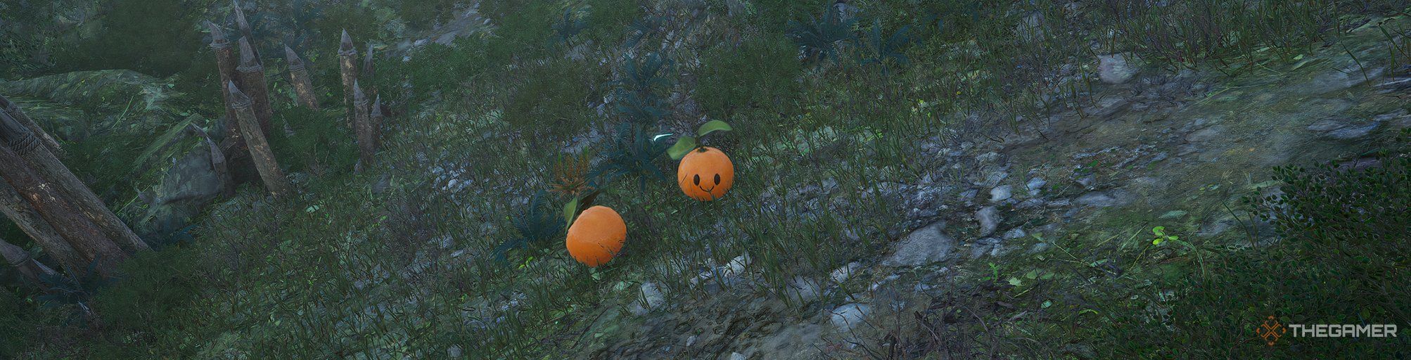 two pumpkins next to a rocky path in a forest, one has an anime face in throne and liberty.