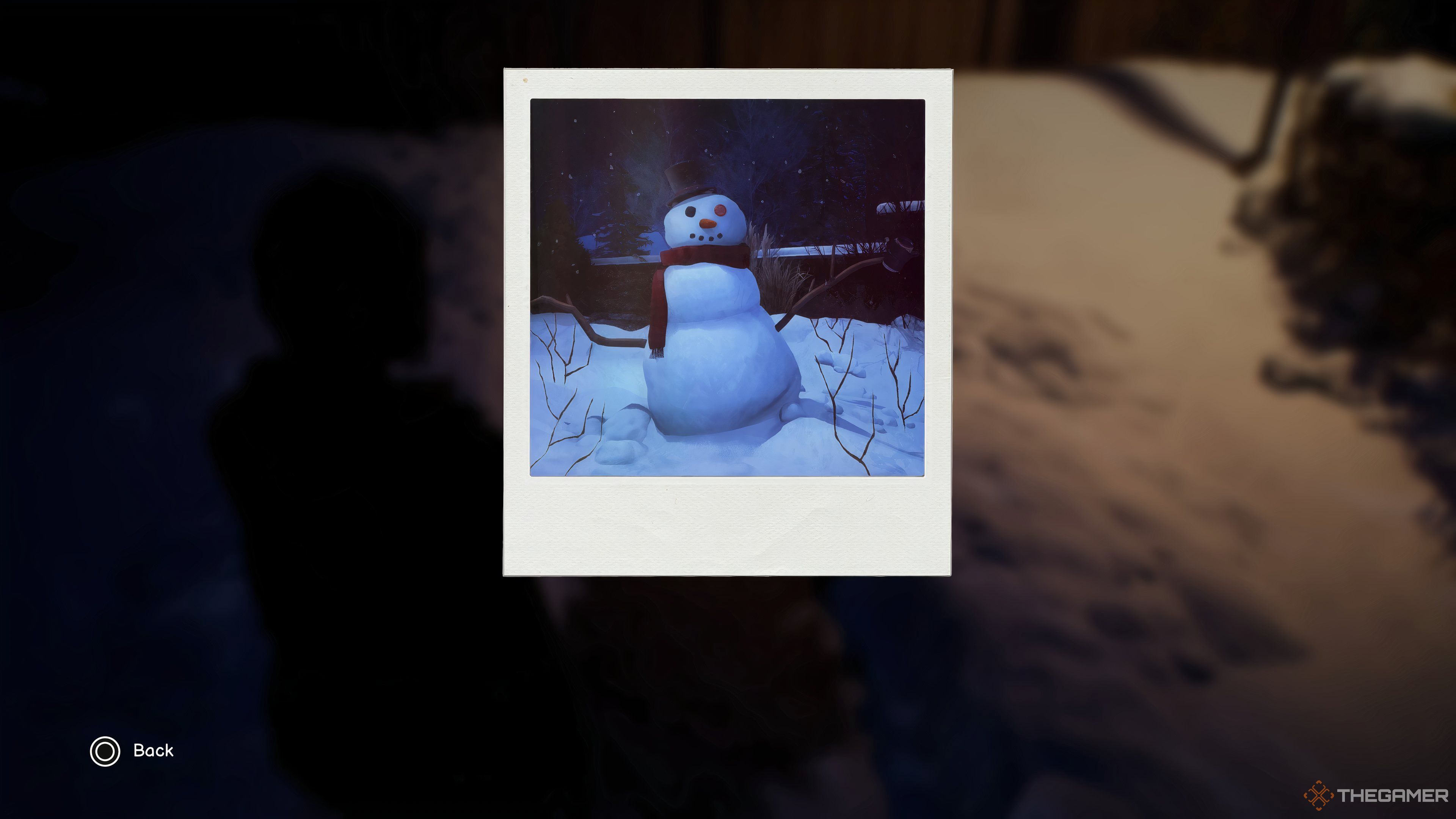 Photo #2 of Snowman With Bottlecap Eye In Life Is Strange: Double Exposure.