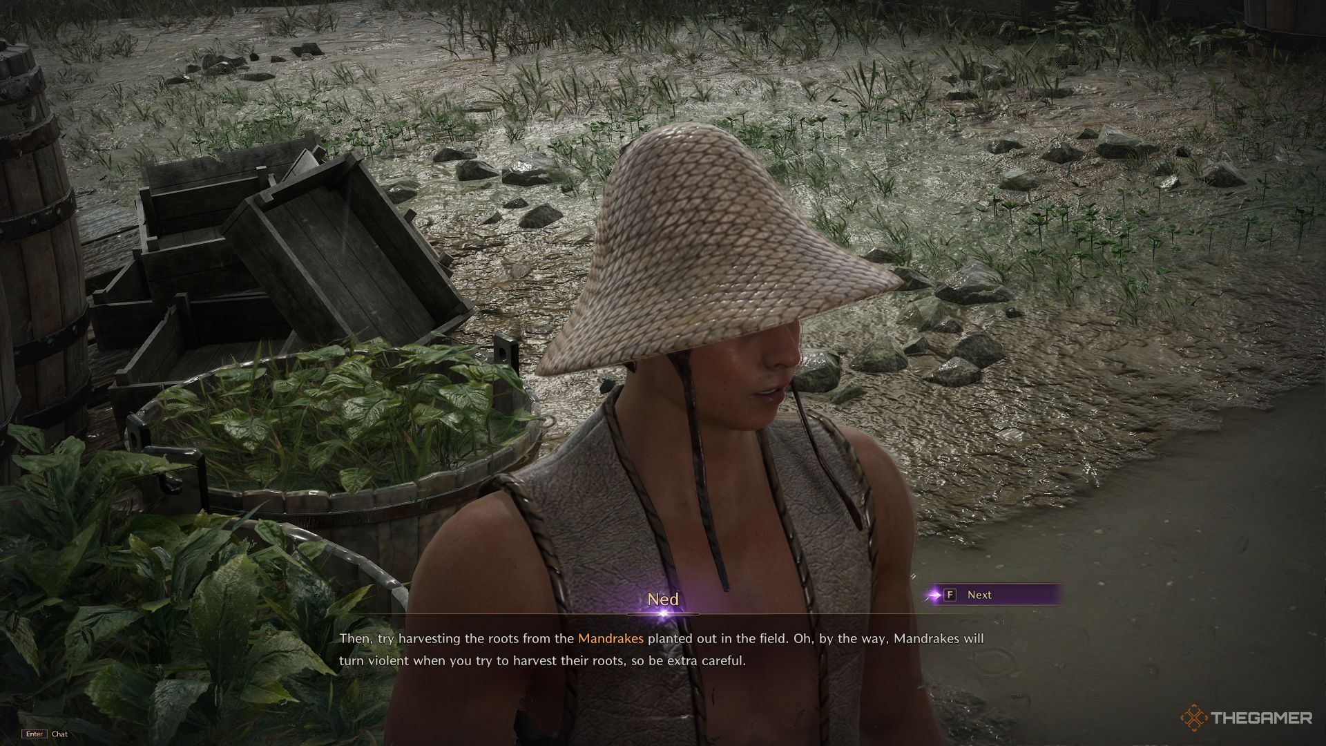 Ned is warning the players about Mandrake Roots violent behaviour.