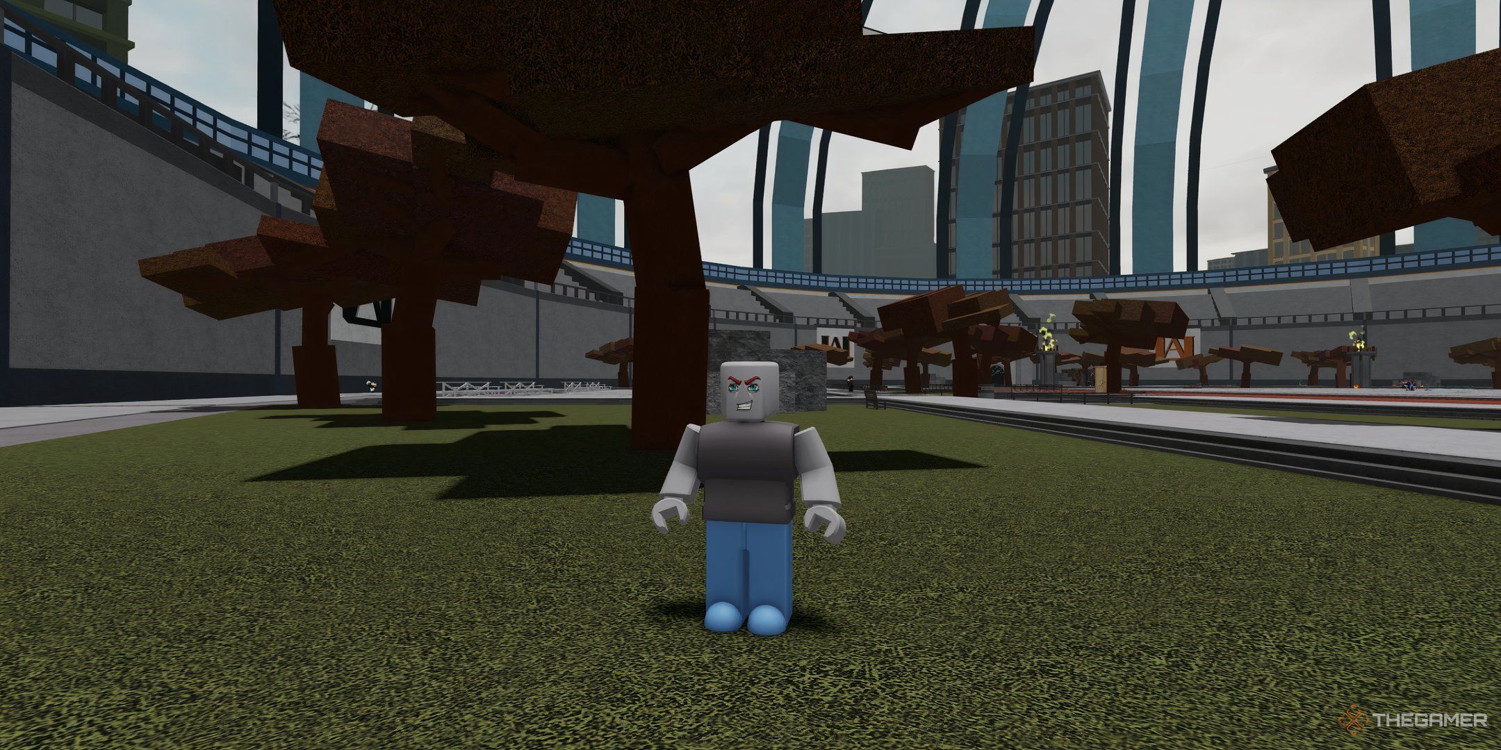 a player in Heroes Battlegrounds on Roblox