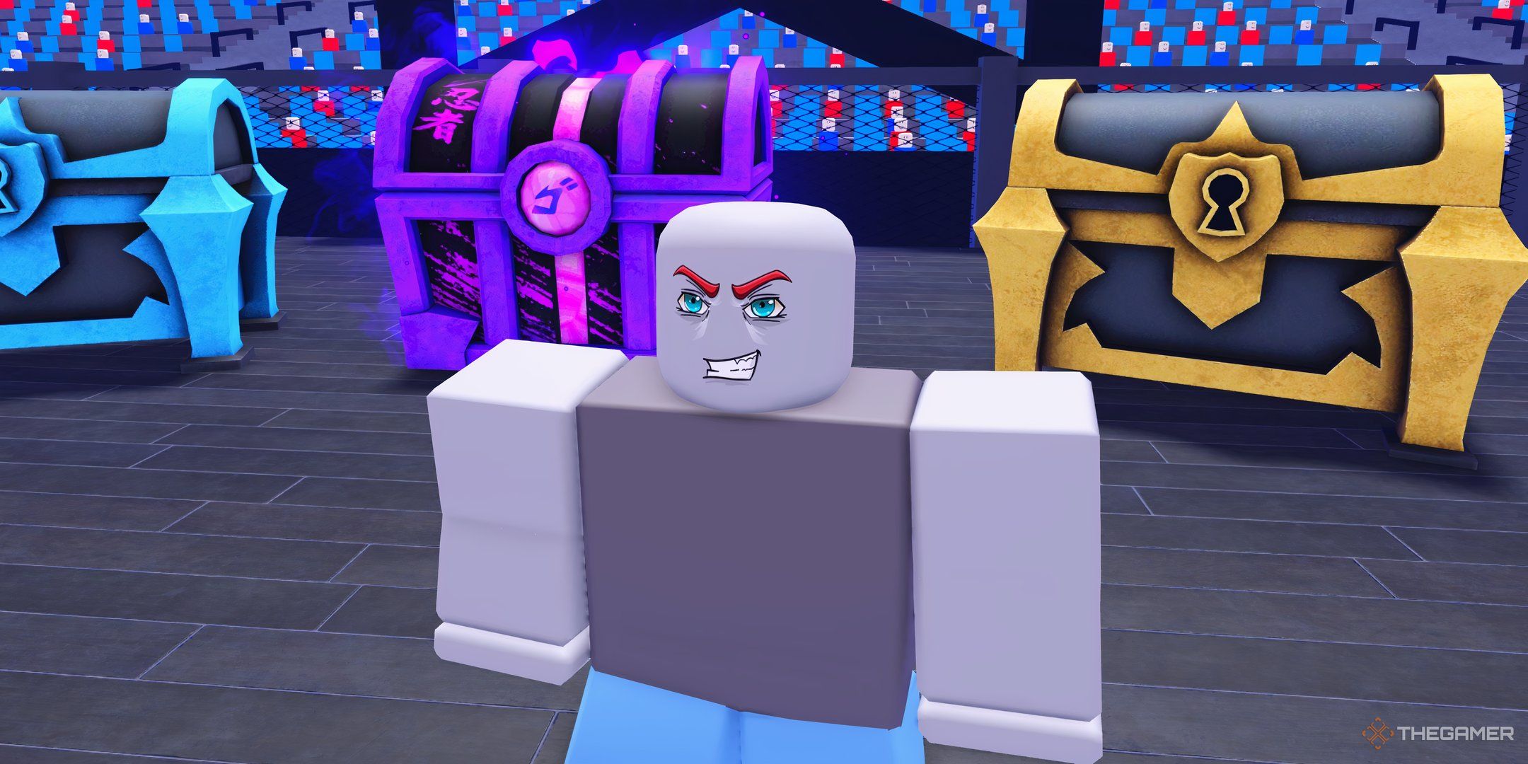 a player in MMA Legends on Roblox