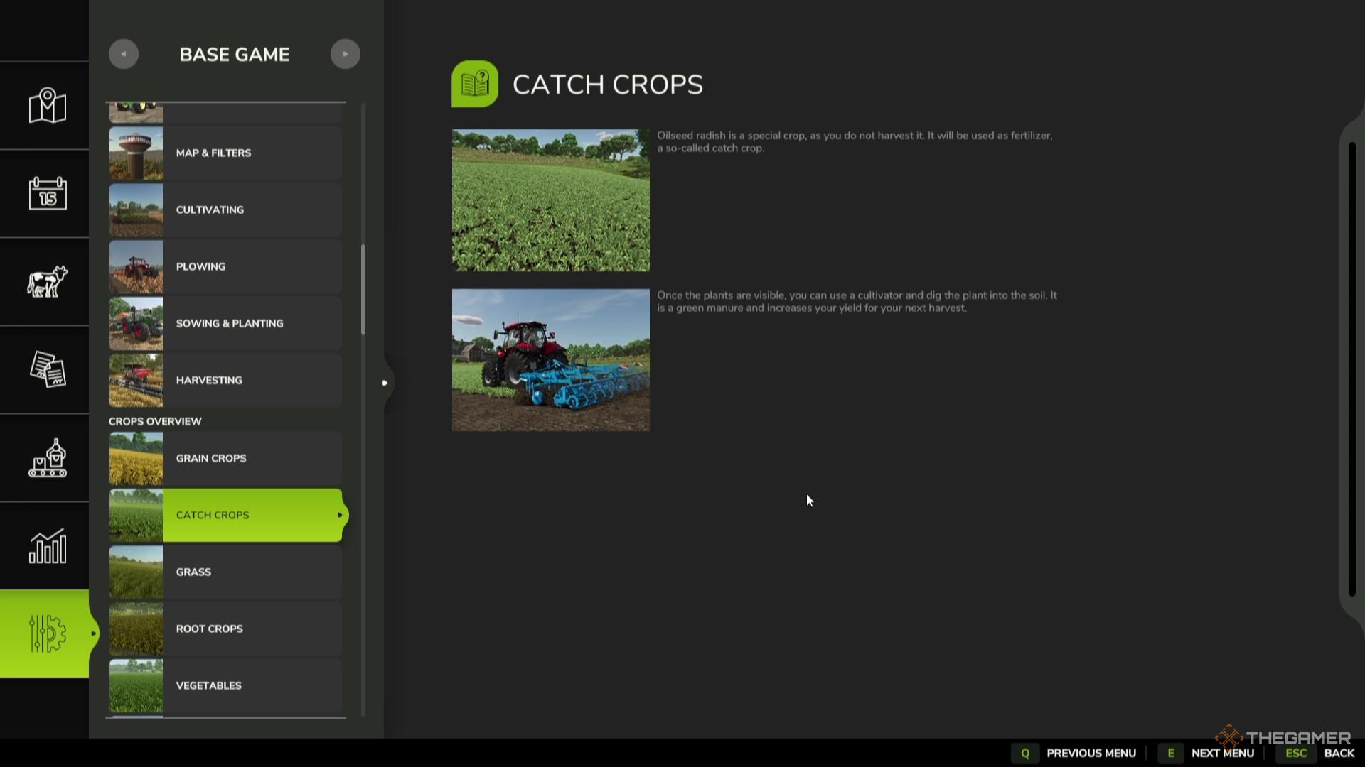 The description for catch crops in Farming Simulator 25.