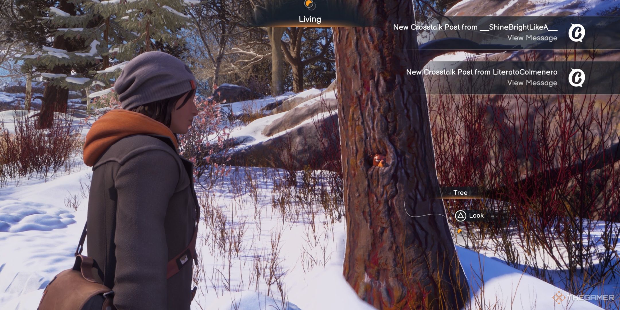 Max stands by a tree with the bear mug stuck inside of it in Life is Strange Double Exposure.