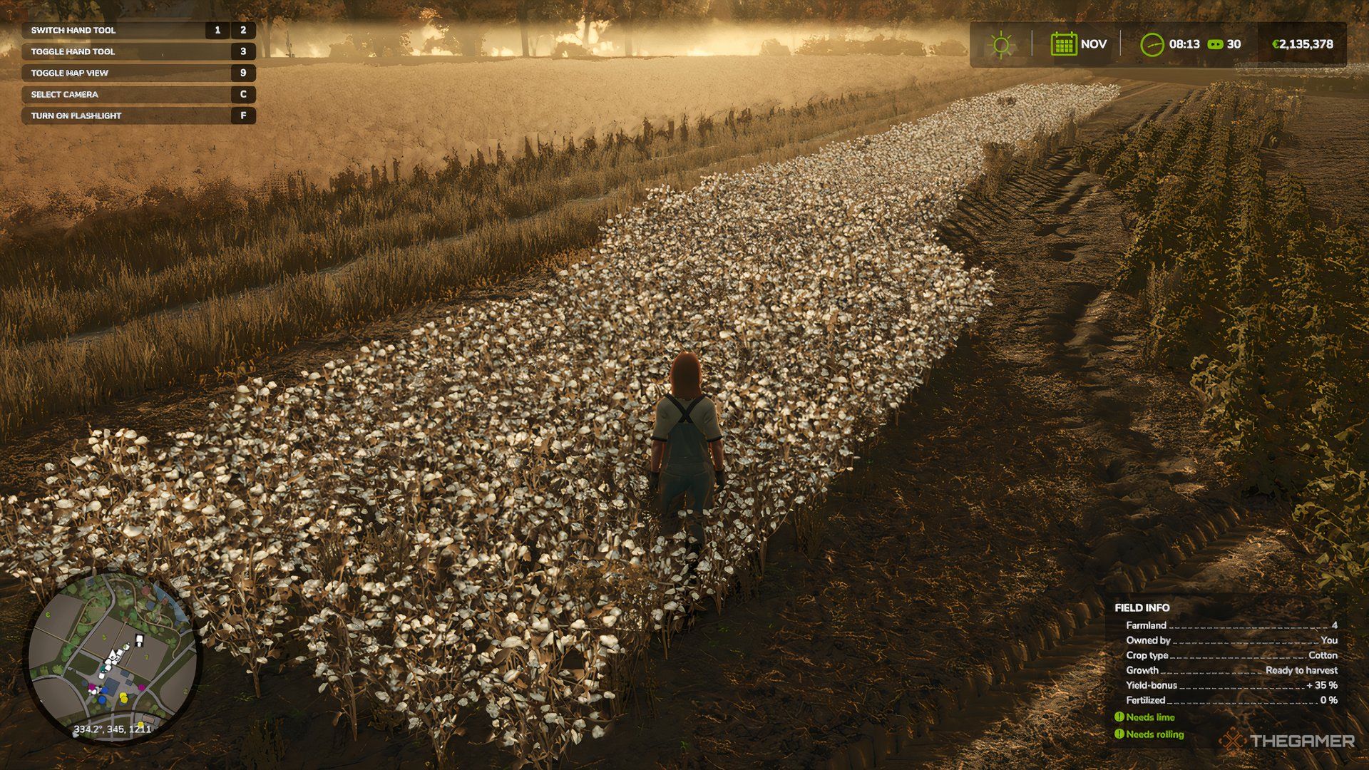 The Cotton crops are grown in Farming Simulator 25.