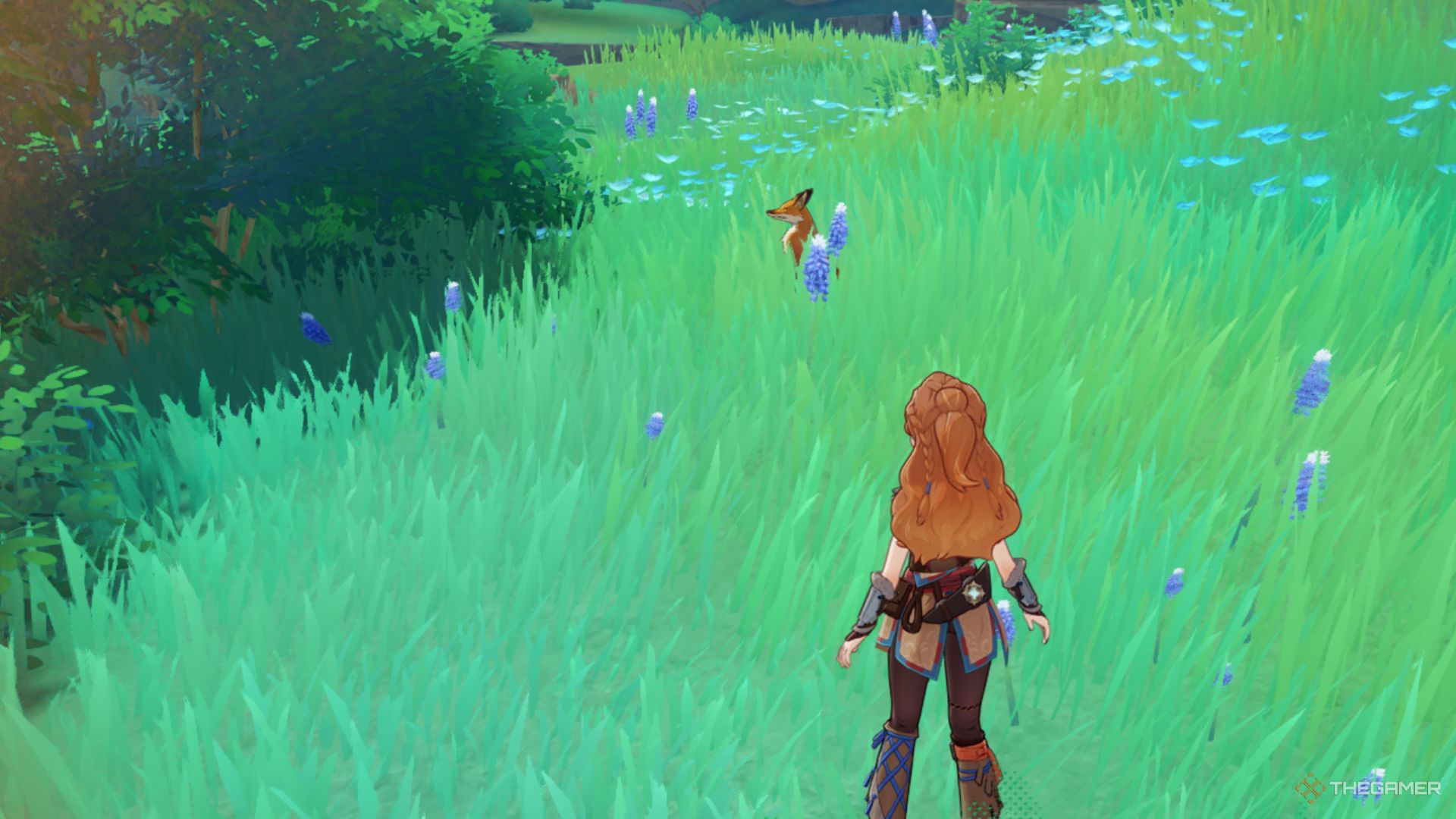A kitsune is hidden in the grass in Genshin Impact.