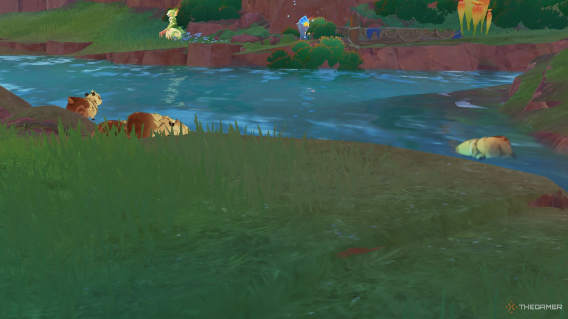Some Capybara are soaking in the water in Genshin Impact.
