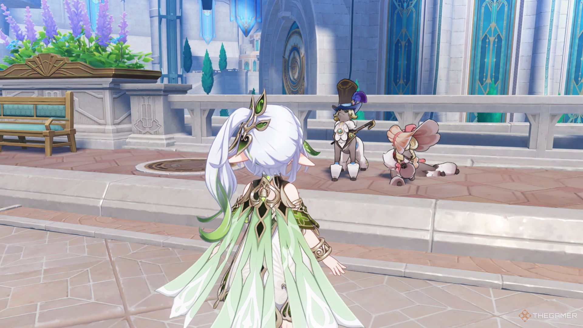 The poodles are shown in Fontaine City in Genshin Impact.