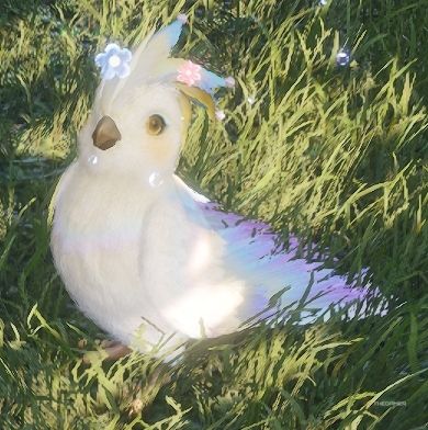 Crowned parrot in Infinity Nikki
