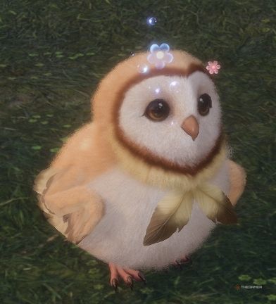 Hooded Owl in Infinity Nikki