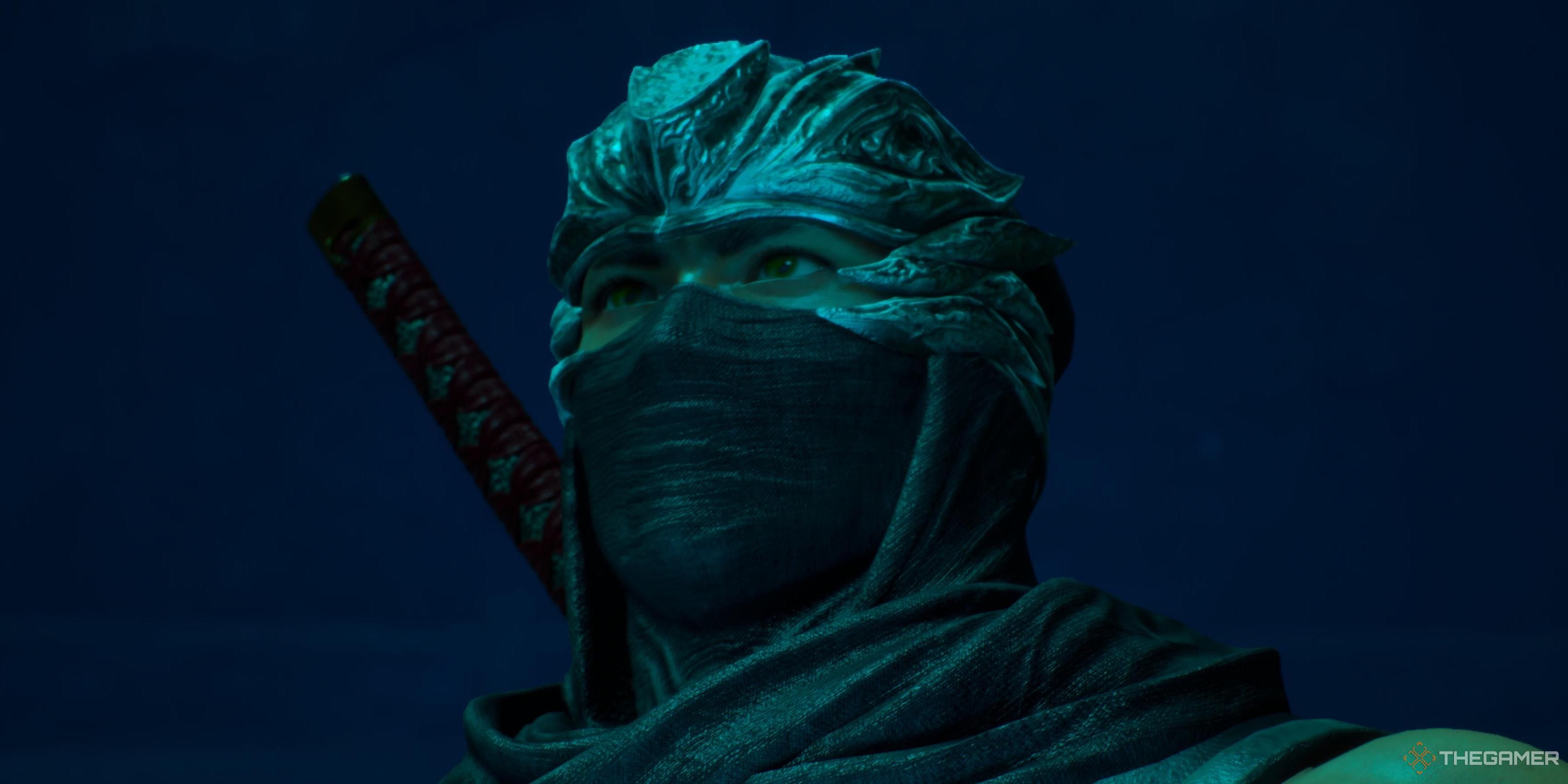 Ryu looking into the mid distance in Ninja Gaiden 2 Black.