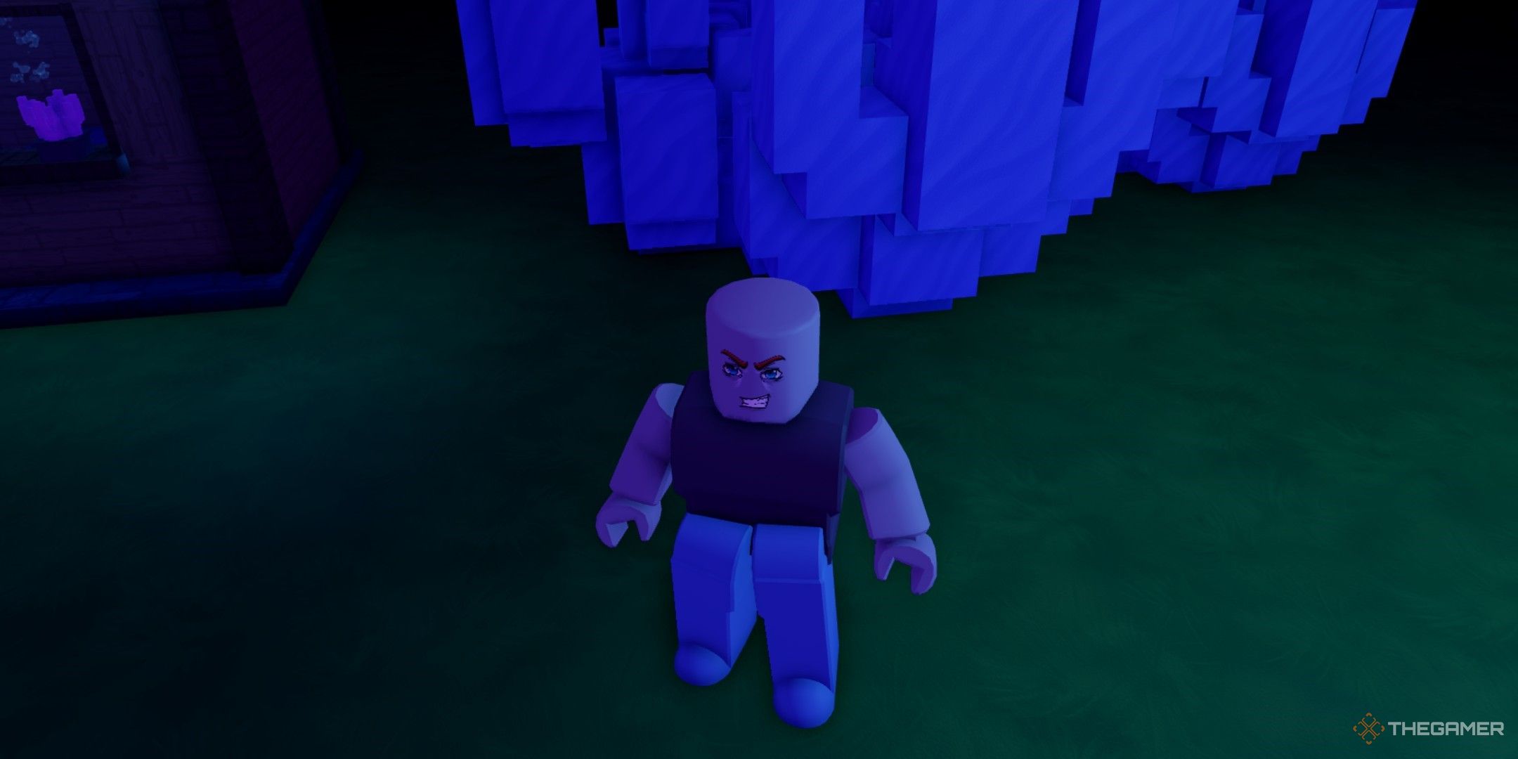 a player in Fish's RNG on Roblox