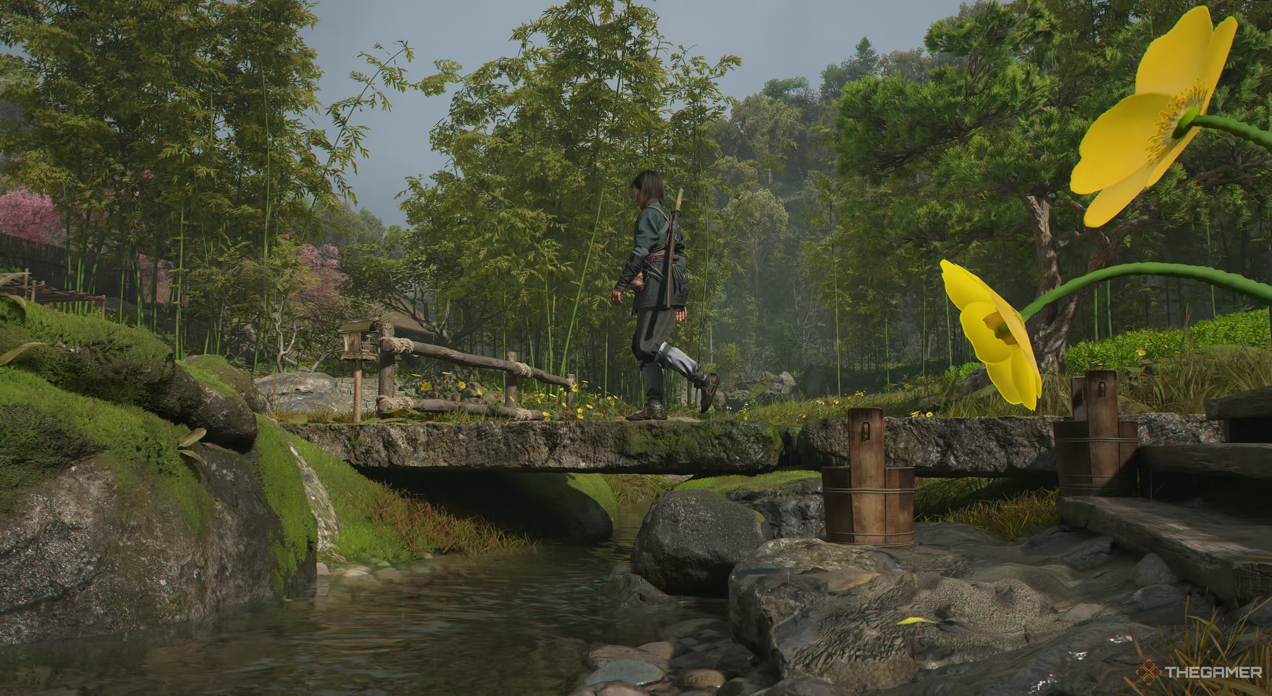 Naoe roaming through an area of Assassin's Creed Shadows.
