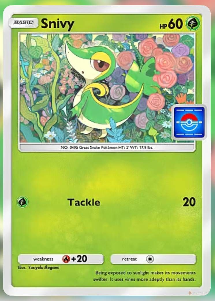 Pokemon Trading Card Game Pocket Promo Card Snivy.-1