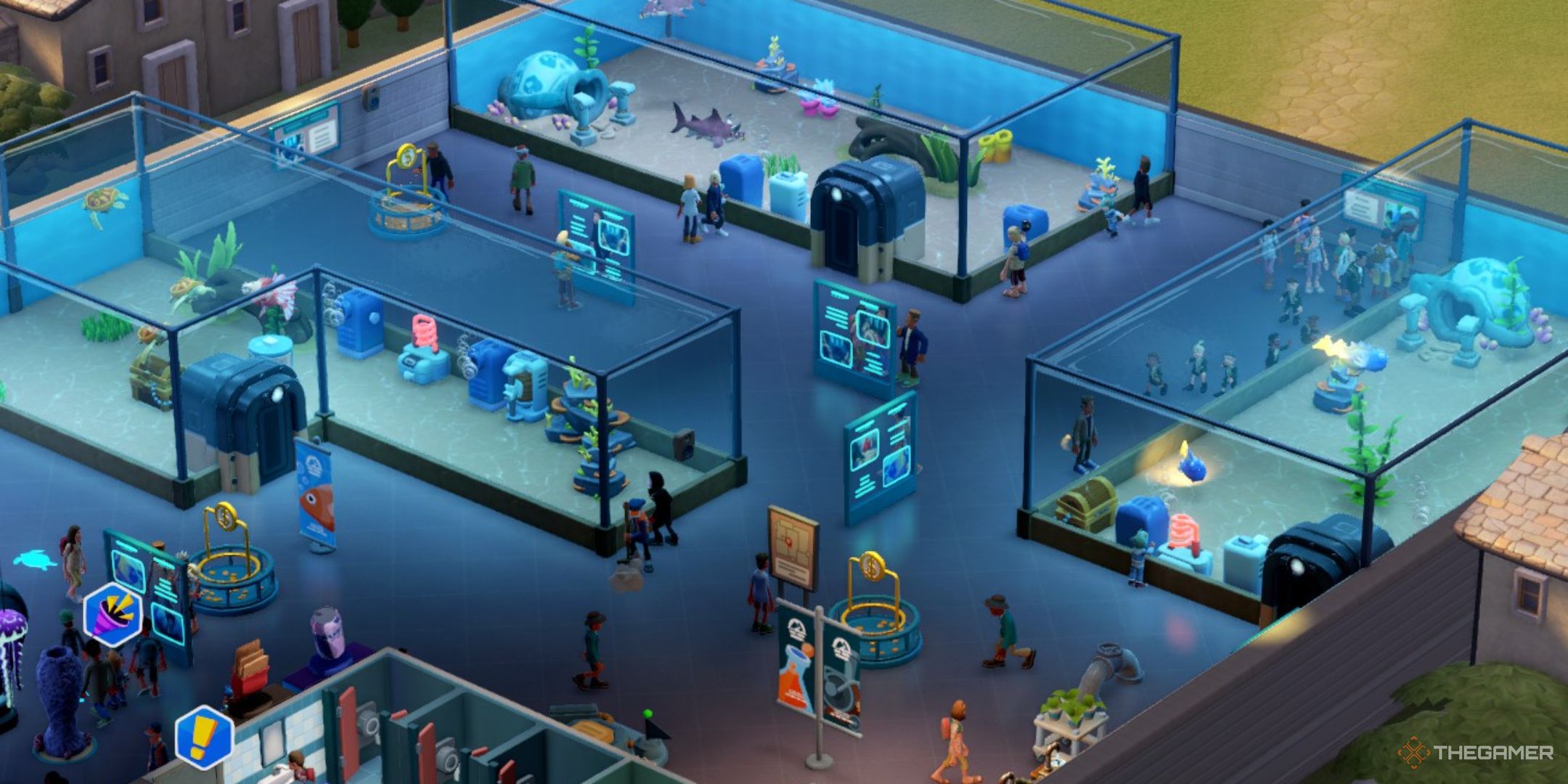 a room full of aquariums in two point museum.