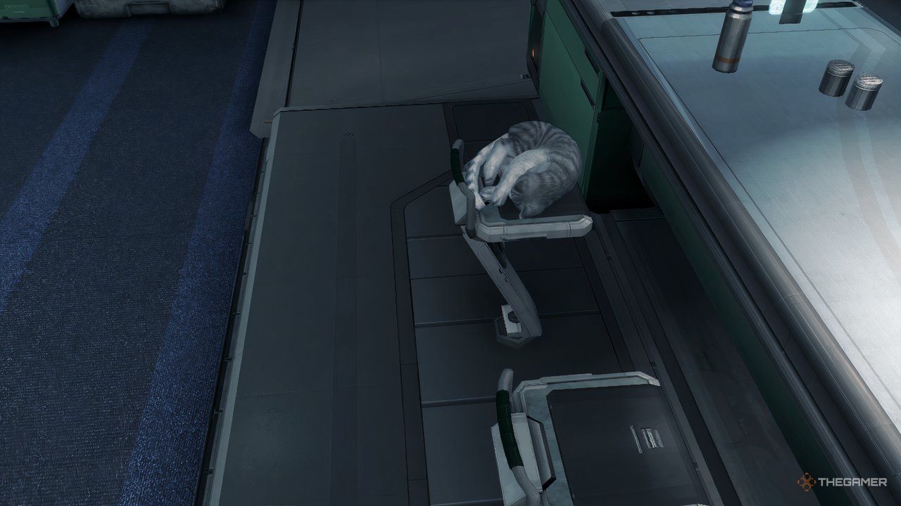 A Silver Tabby in Xenoblade Chronicles X