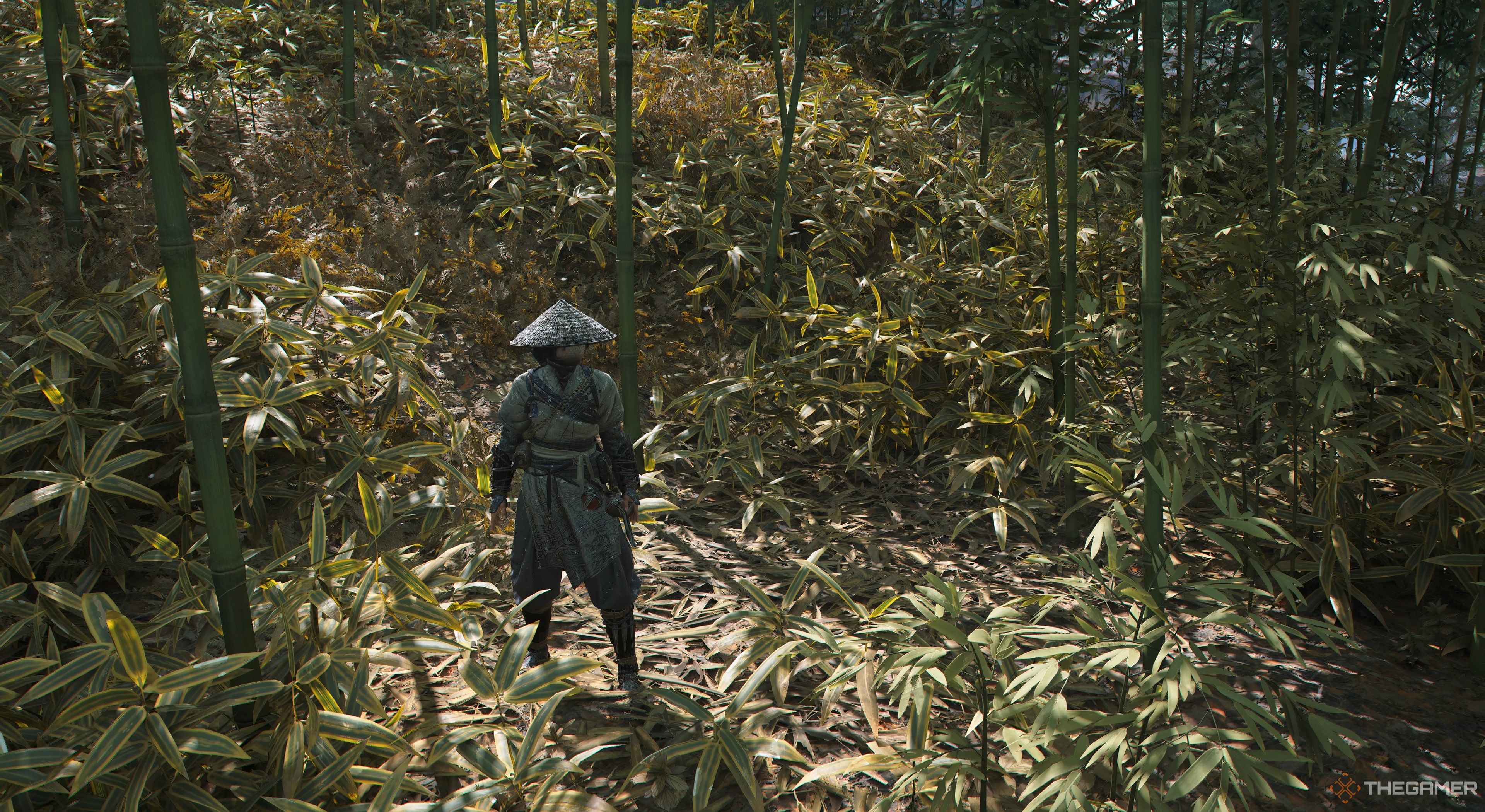 Assassin's Creed Shadows Naoe standing in a forest with high grass behind her. 