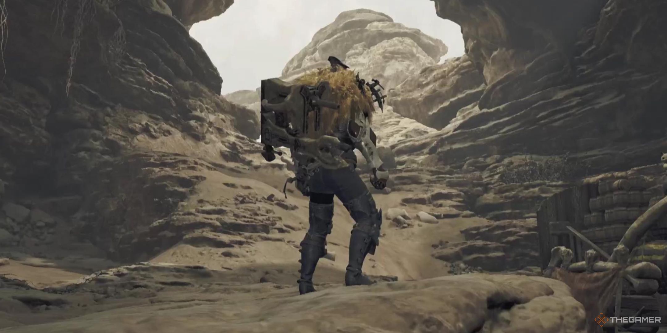 A Hunter stands looking toward the distance with a Heavy Bowgun on their back in Monster Hunter Wilds.
