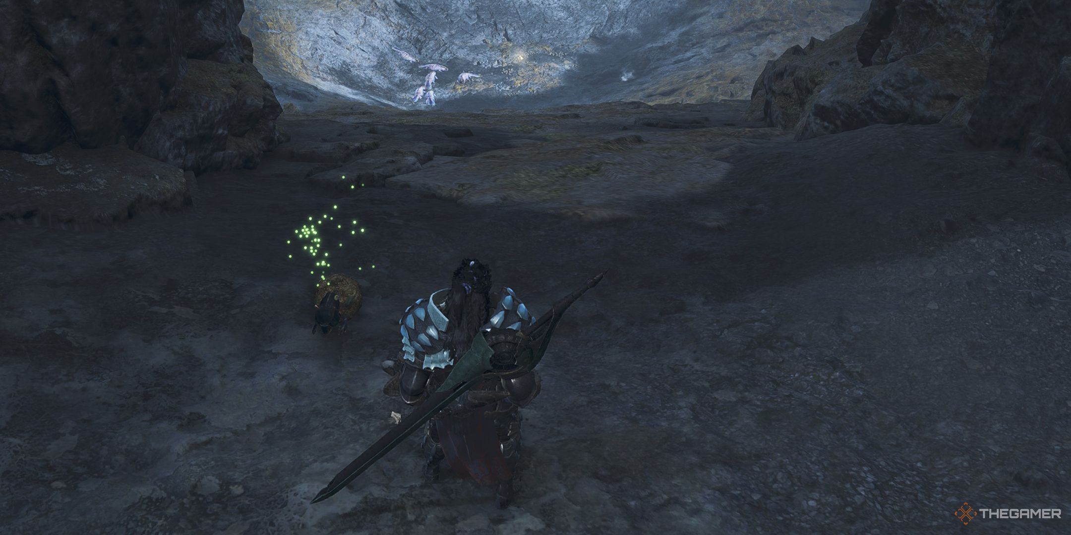 The hunter watching a dung beetle roll its dung in Monster Hunter Wilds.