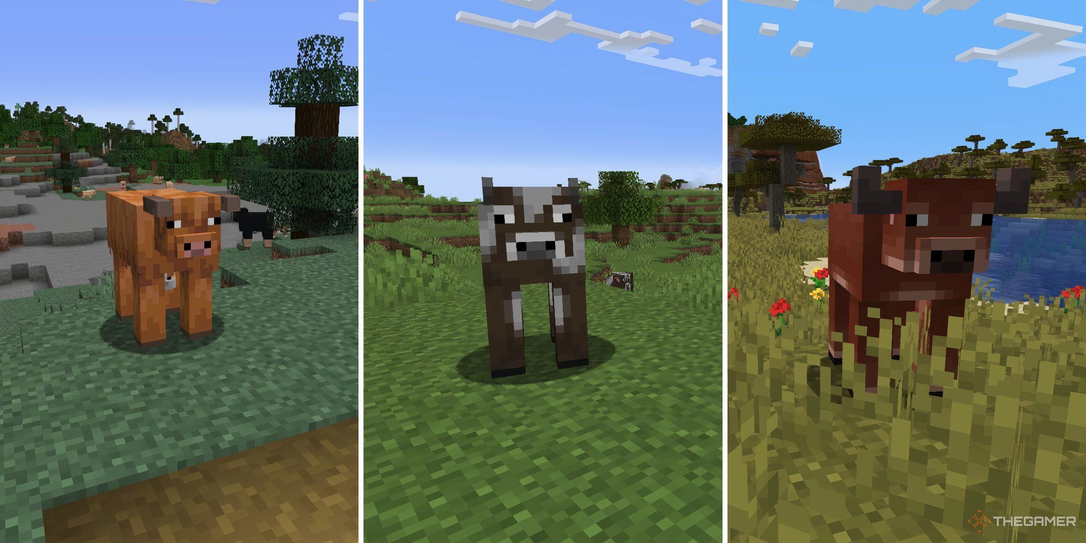 Minecraft All 3 cow variants in a line.