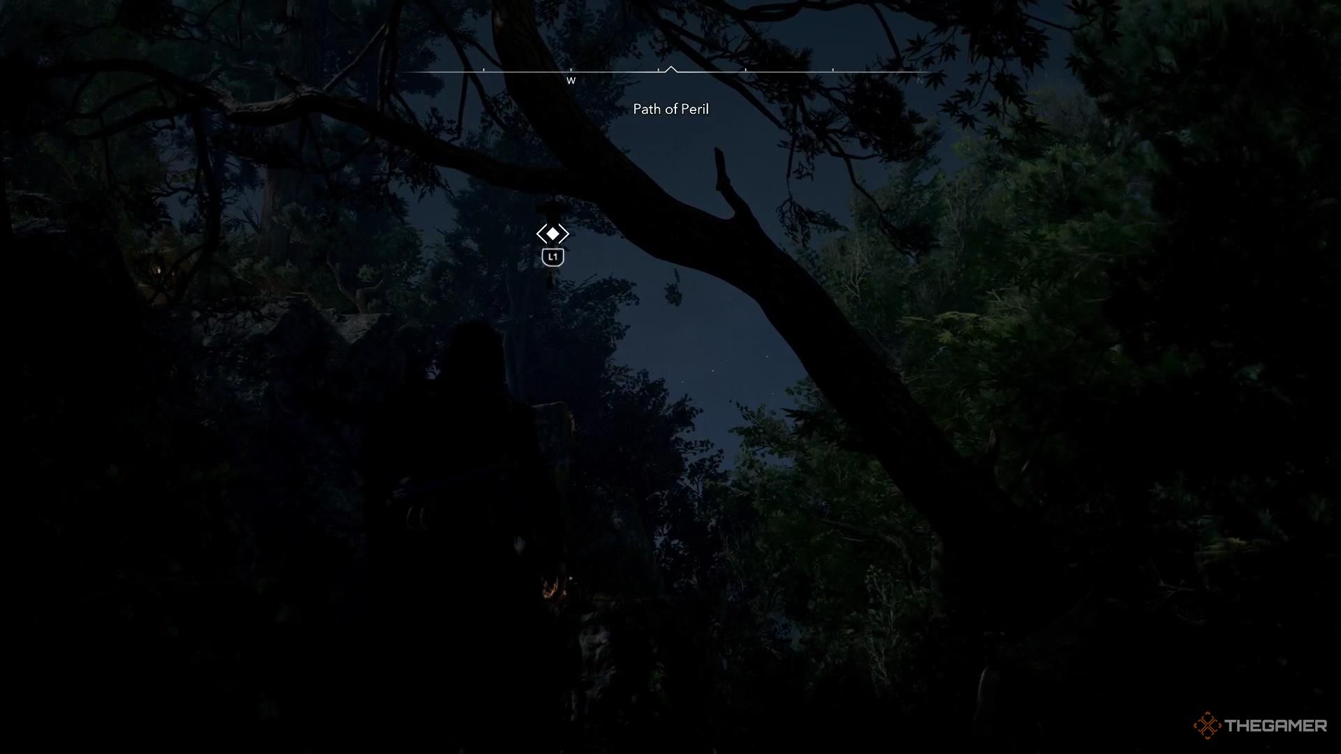 Naoe looks at a grapple point on a tree in Assassin's Creed Shadows.