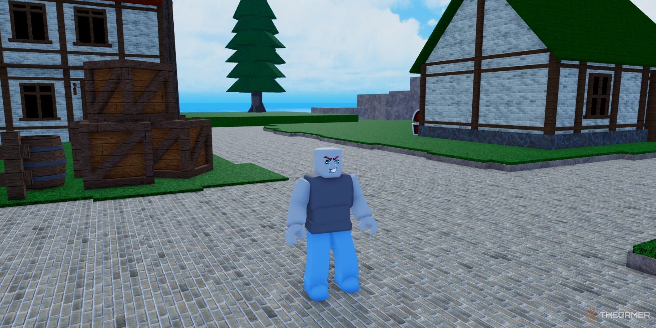 a player in Dawn Piece on Roblox