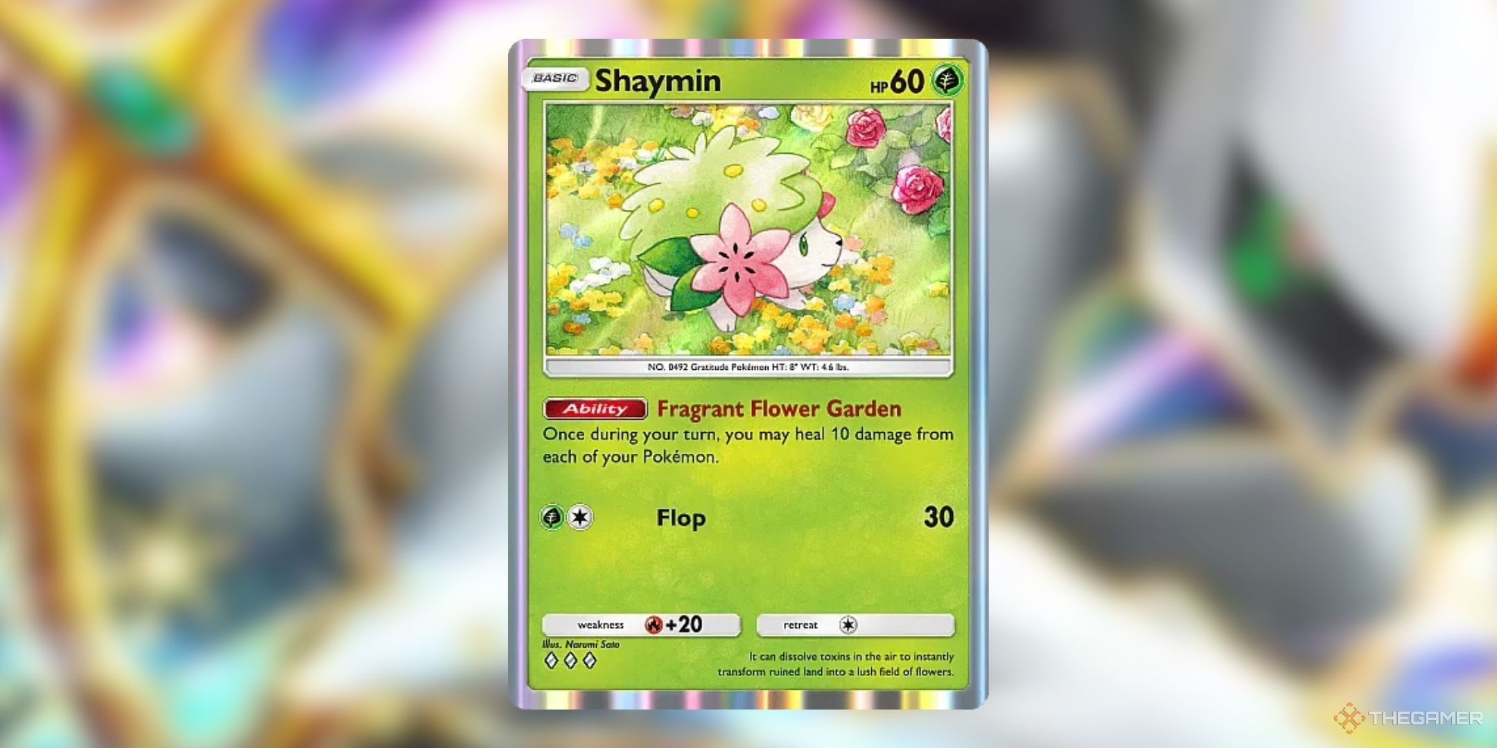 The Fragrant Flower Garden Shaymin card in front of an Arceus background in Pokemon Pocket.