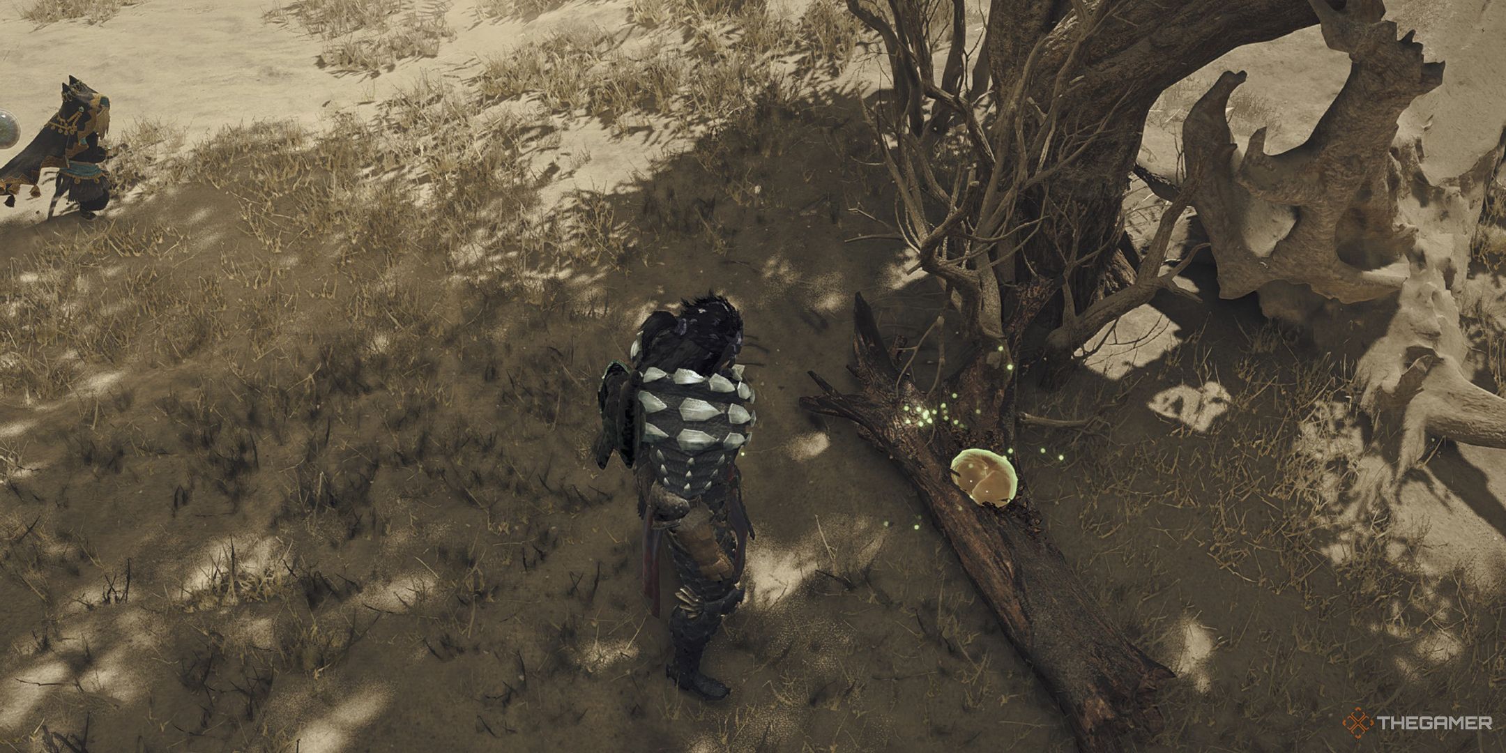 The hunter looking at a Wiggly Litchi in Monster Hunter Wilds.