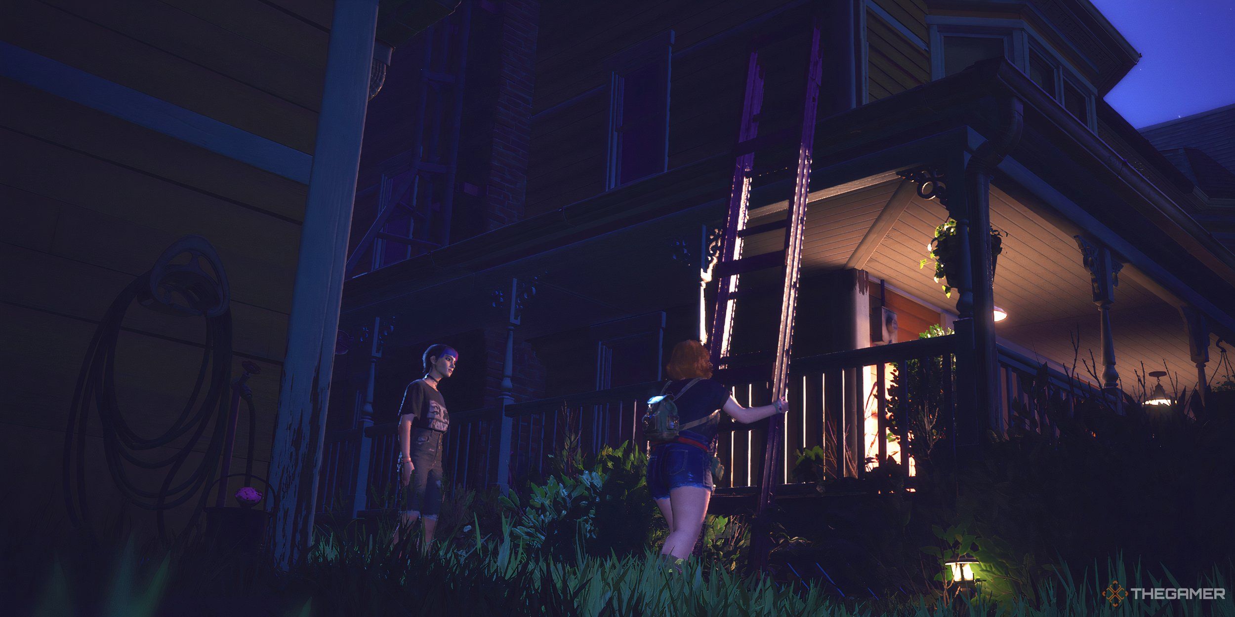 Swann and Nora setting up a ladder to climb on the roof.