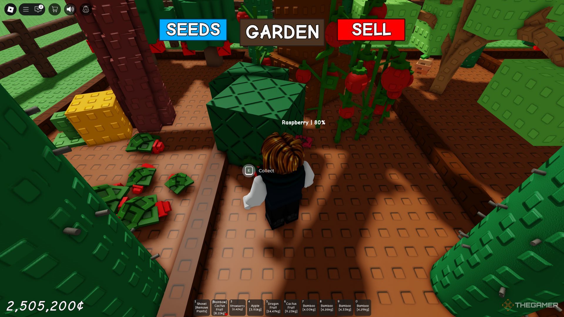 The player character shows Raspberry in his garden in Grow A Garden.