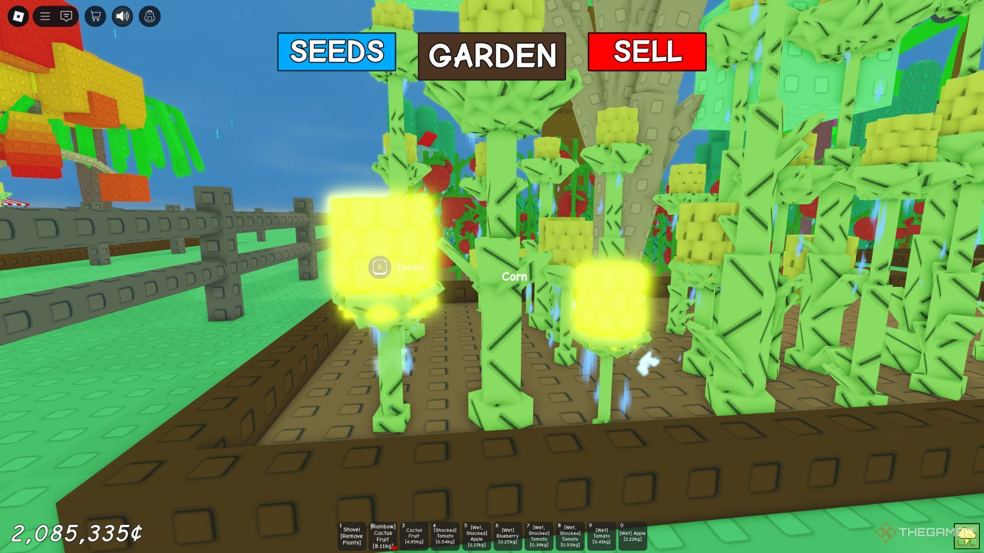 The player character shows Shocked corn in his garden in Grow A Garden.