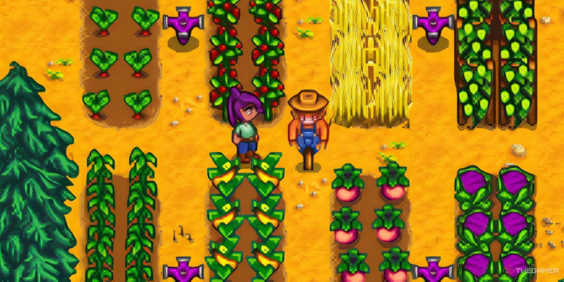The Farmer Standing Next To The Scarecrow, Surrounded By Crops In Stardew Valley.
