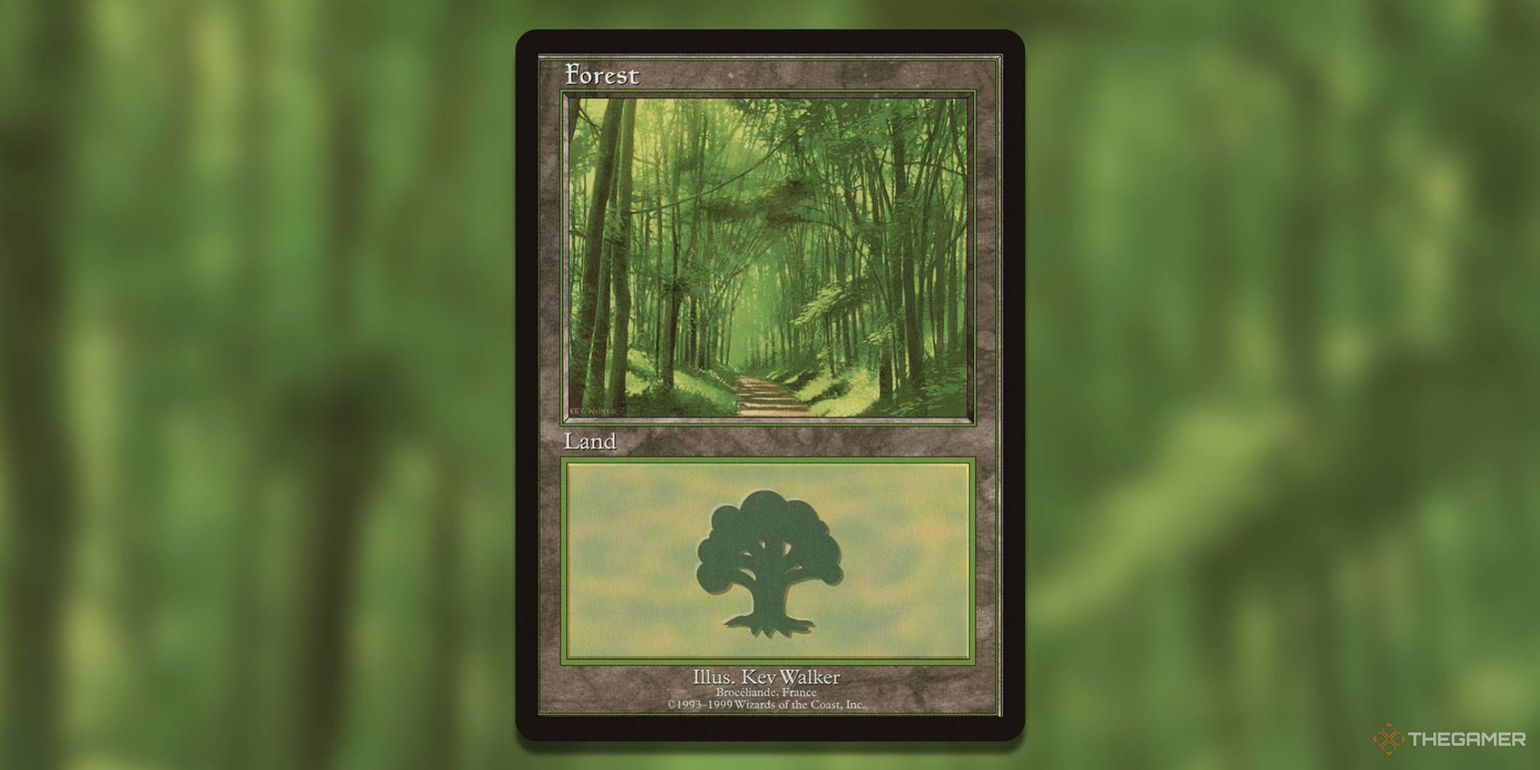 Basic Land Forest ELP By Kev Walker