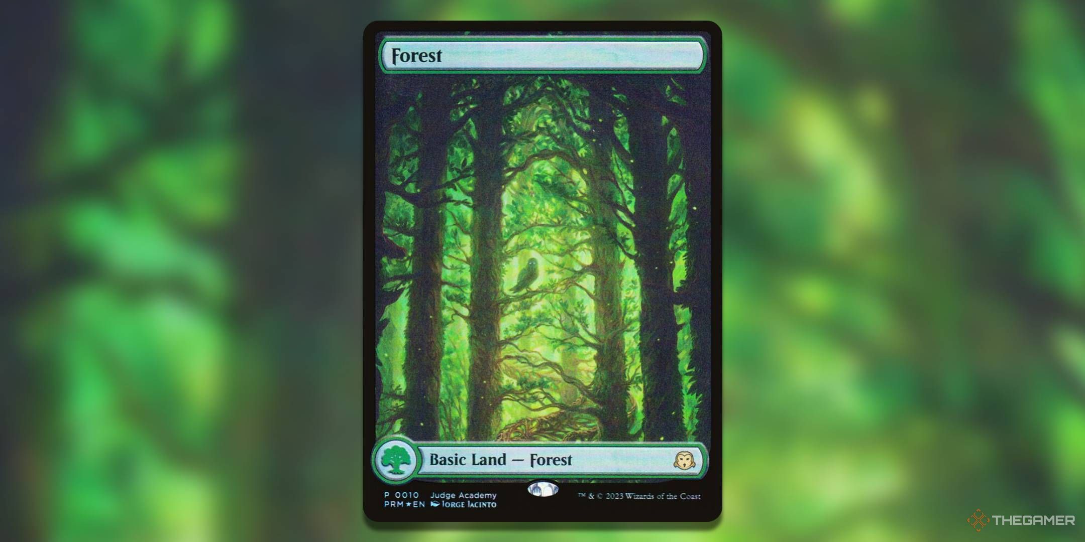 Large trees against a vibrant green background with an owl in the middle on a branch.