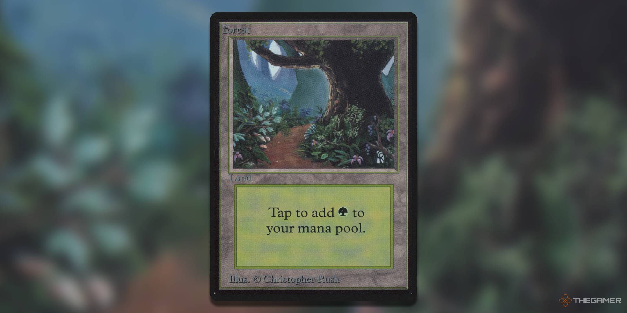 A large tree stands on a forage path lined by flowers.