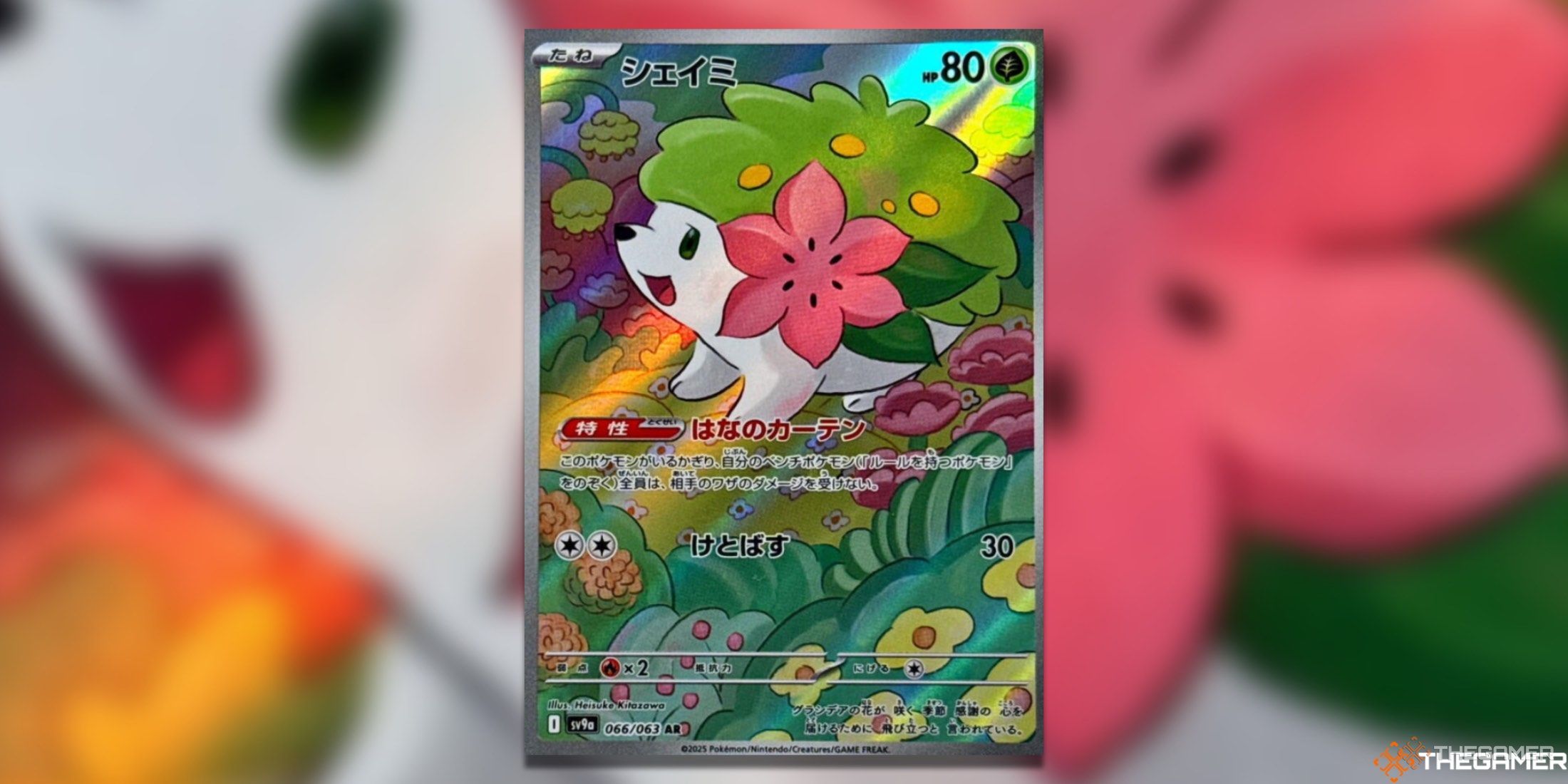 Pokemon TCG Heat Wave Arena Art Rares Shaymin
