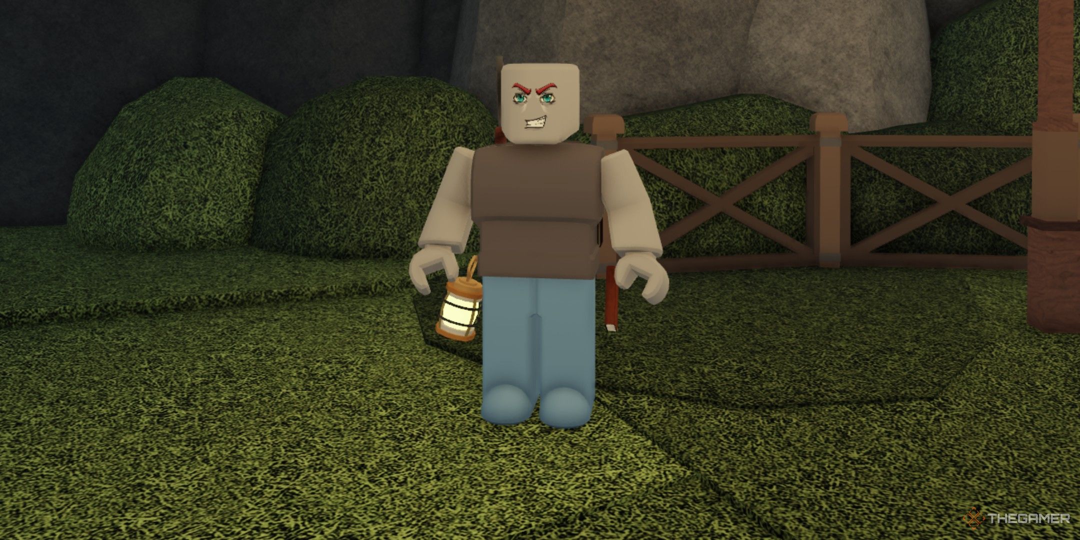 a player in Beaks on Roblox