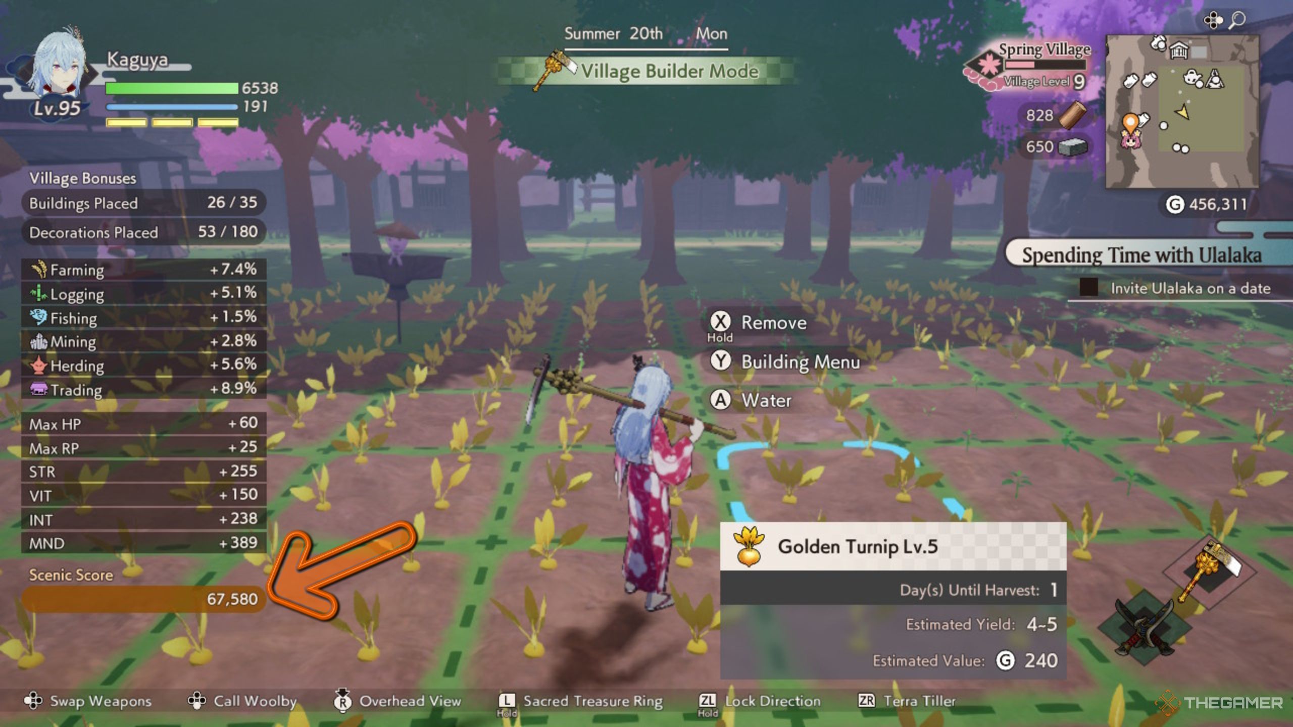 Rune Factory Guardians Of Azuma looking at scenic score.