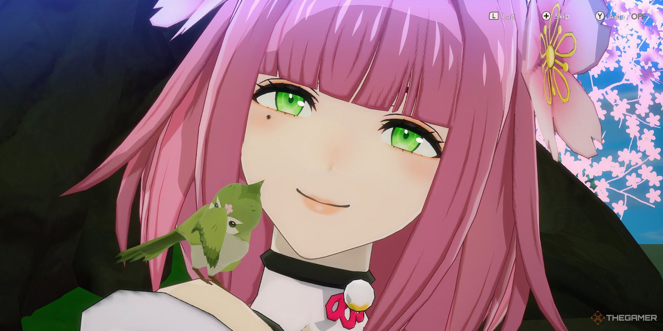 Rune Factory Guardians Of Azuma Ulalaka closeup with her special bird.