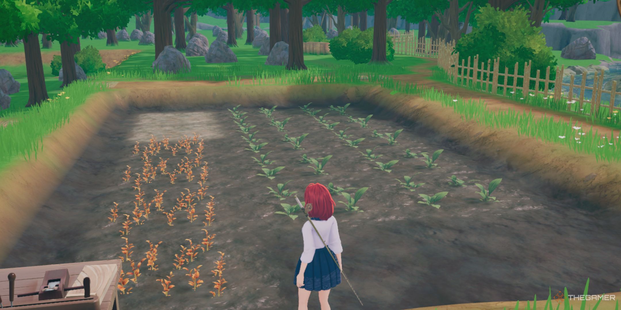 A field is shown in Tales of Seikyu.
