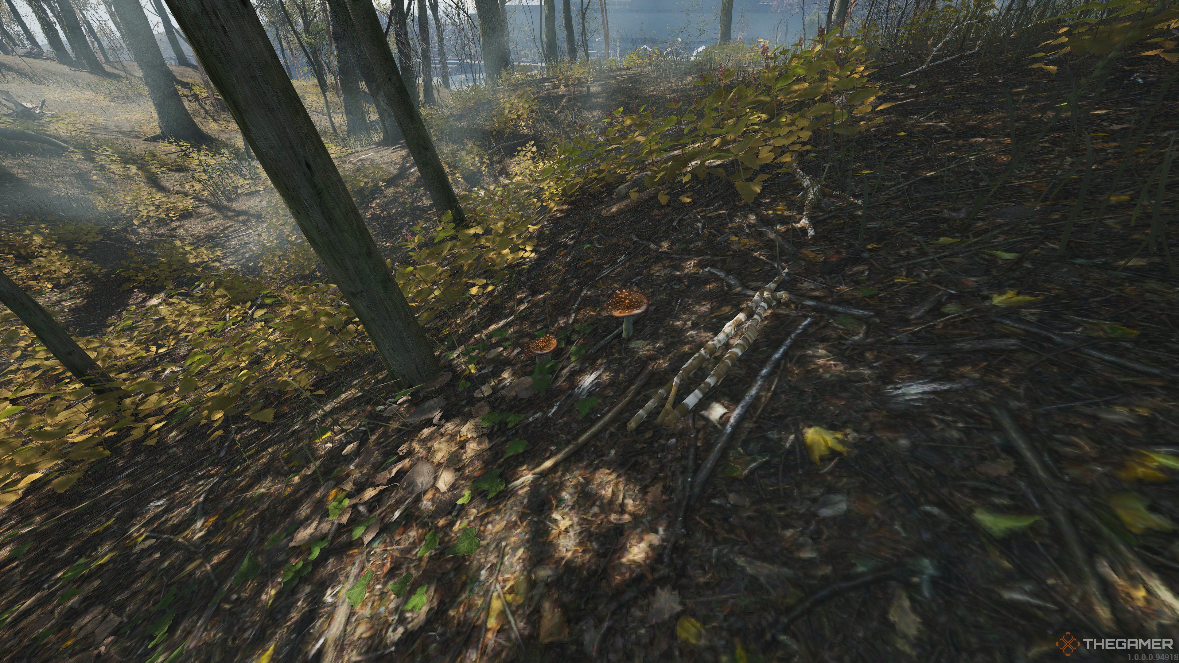 Amanita Pantherina beneath the shade of a tree in a forest in SCUM.