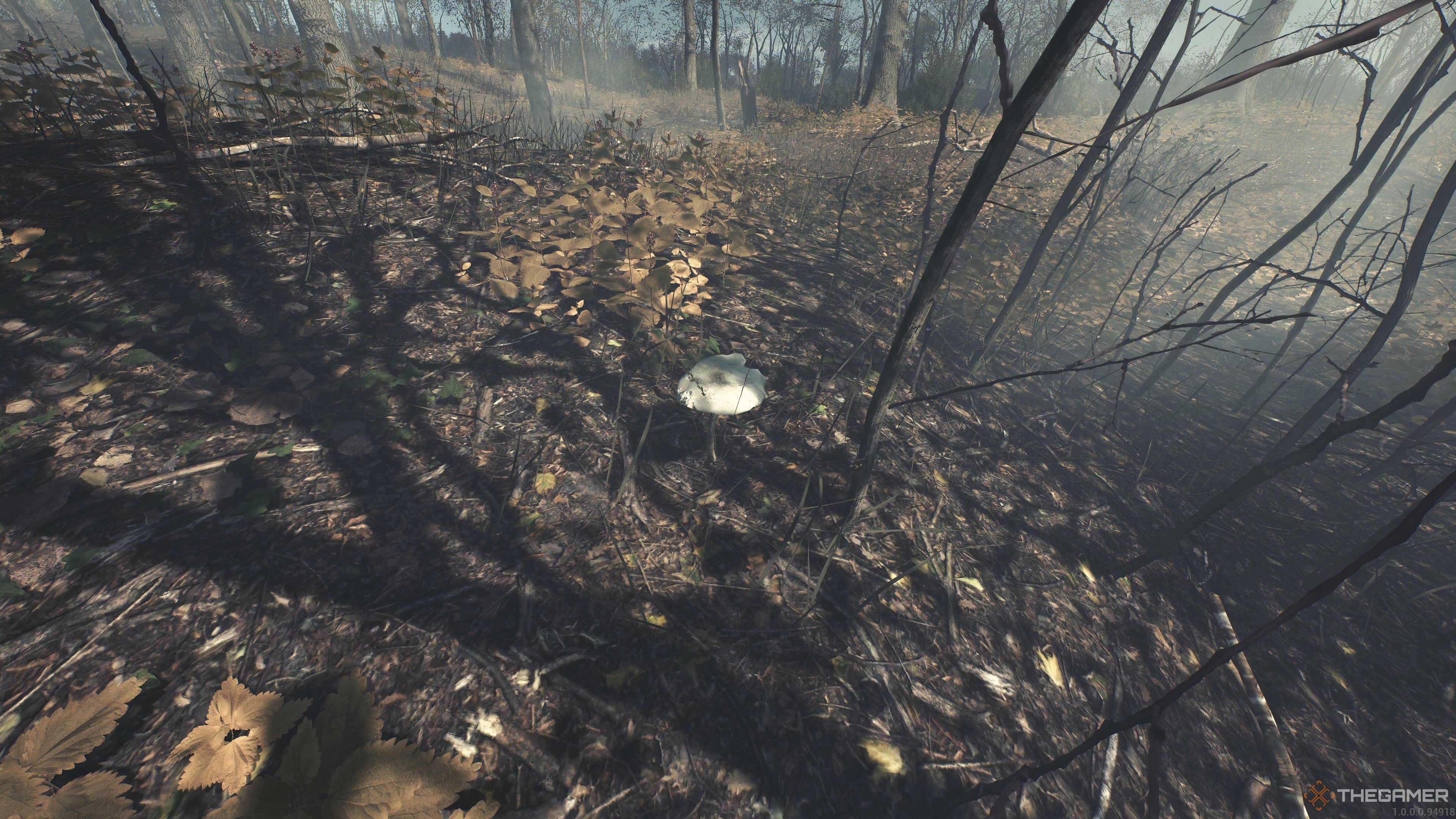 Amanita Virosa mushroom alone in a radiated dying forest in SCUM.