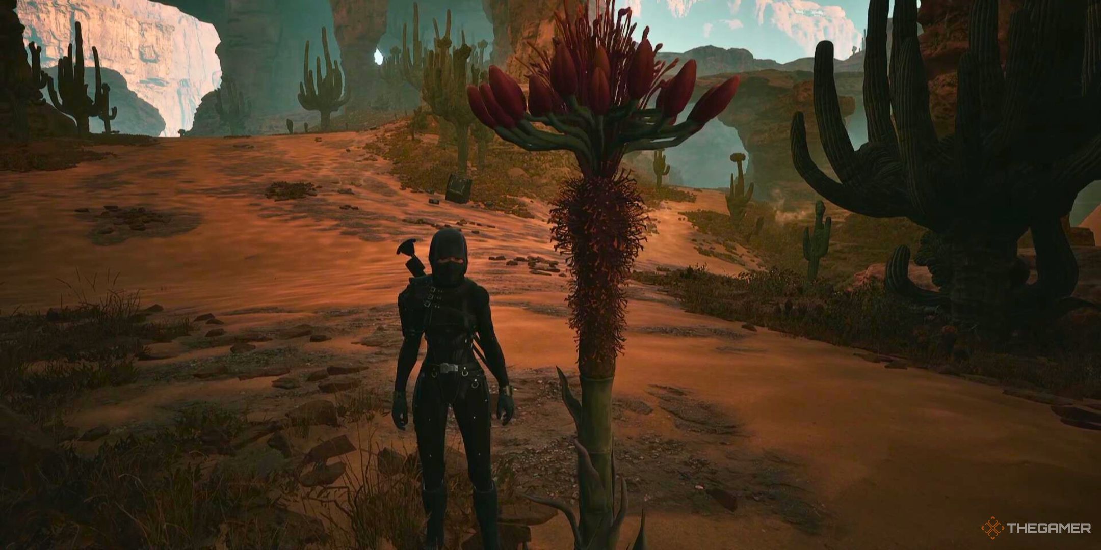 A plant with Agave Seeds stands in front of a player in Dune Awakening.