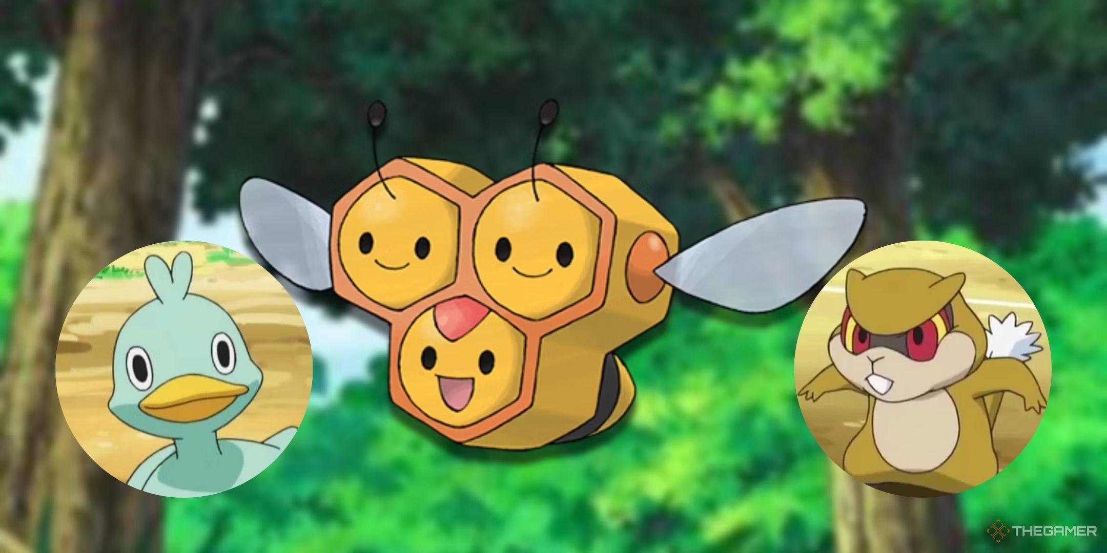 Combee flies happily in the center, Patrat looks ready for anything on the right, and Ducklett's gaze pierces our soul on the left, all in Pokemon.
