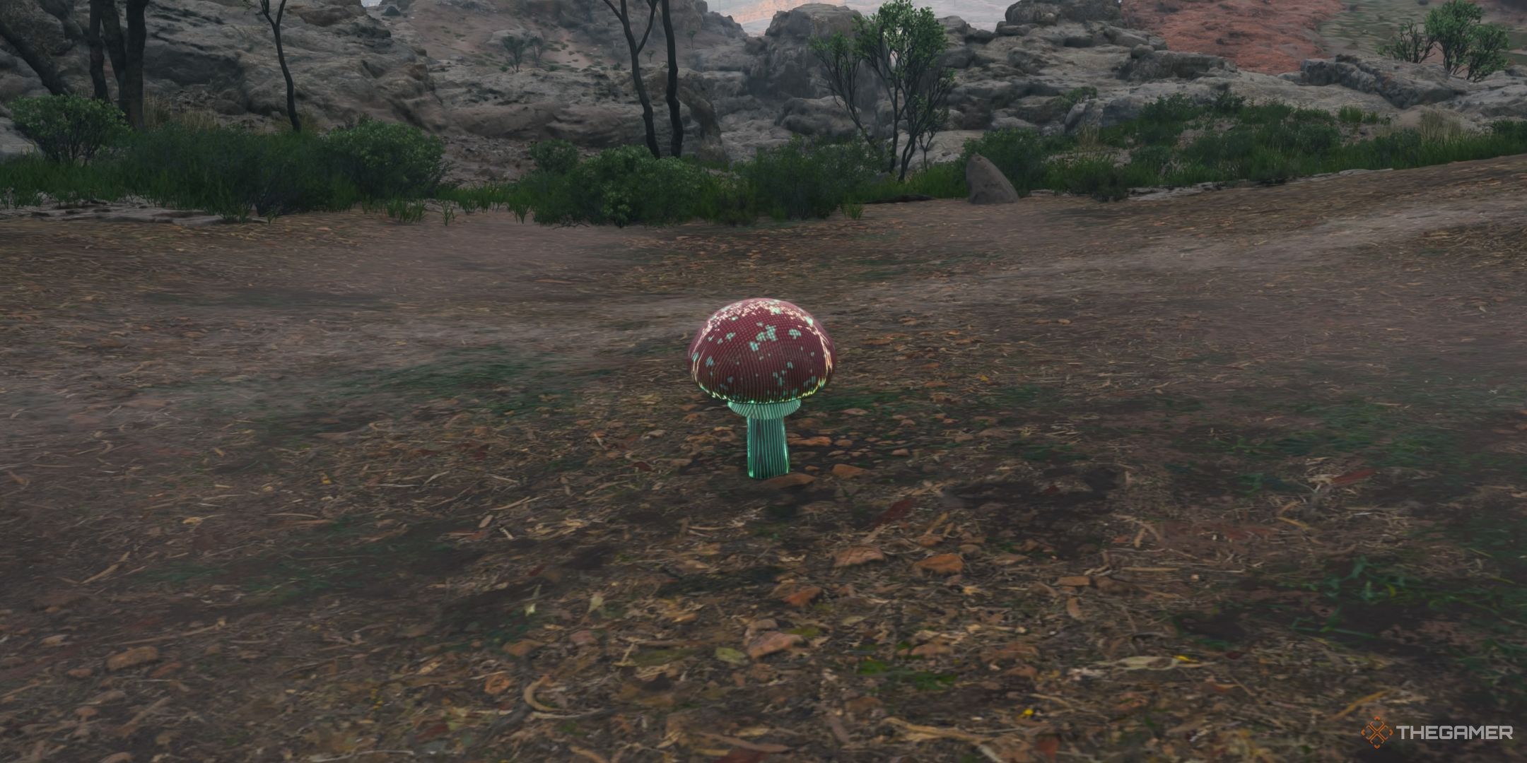Death Stranding 2 On The Beach mushroom going out of the ground.