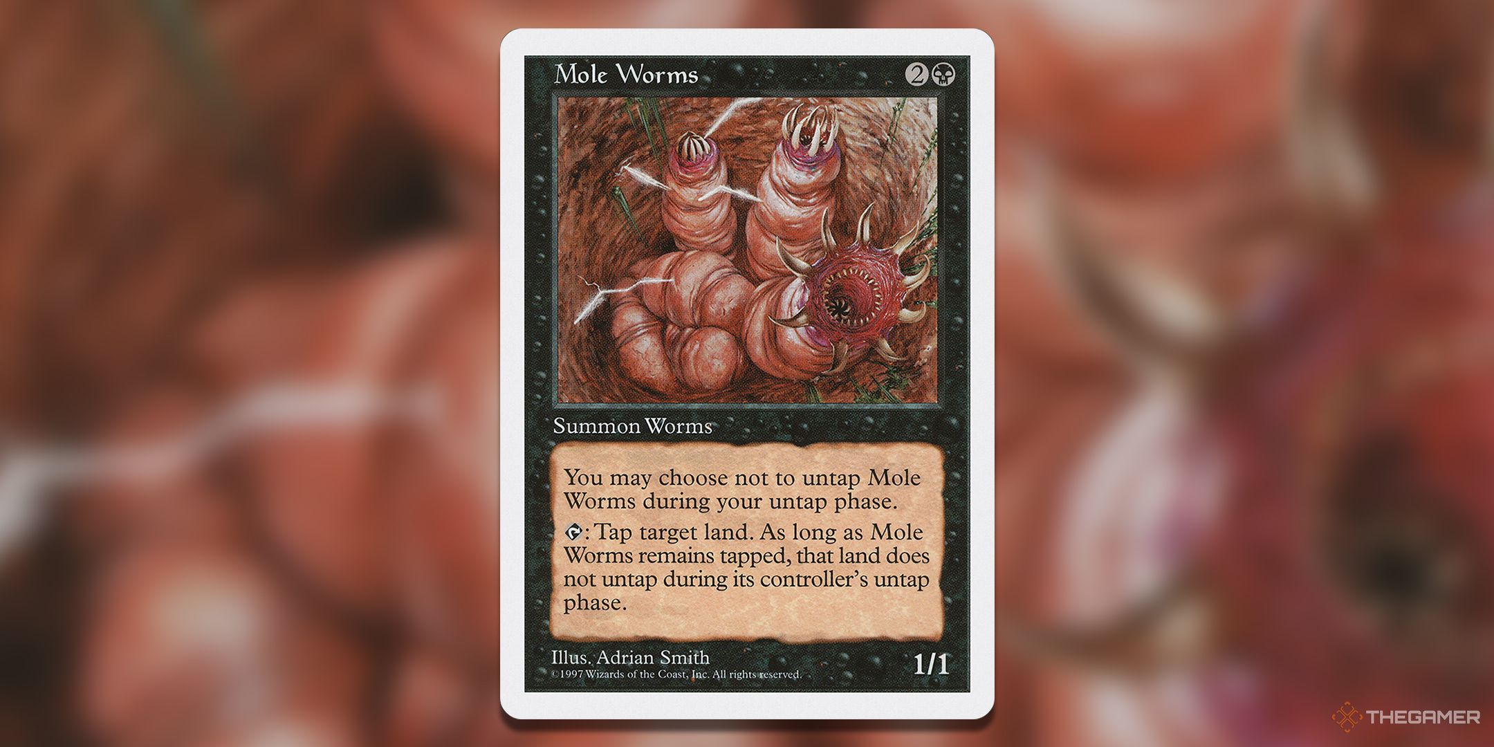 Mole Worms
