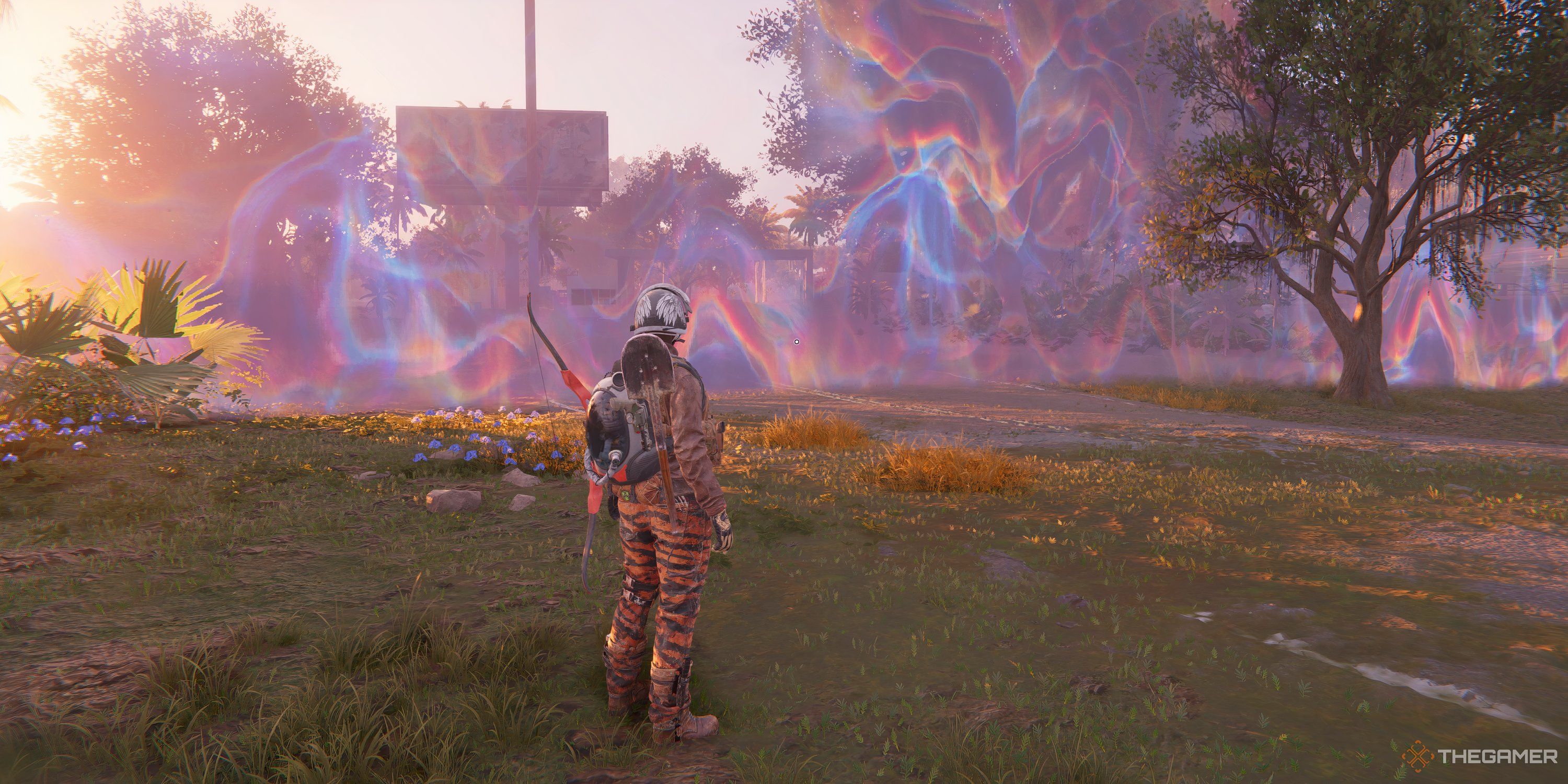 Player Character before the scintillating boundry wall between a Dream Zone and the normal overworld. 