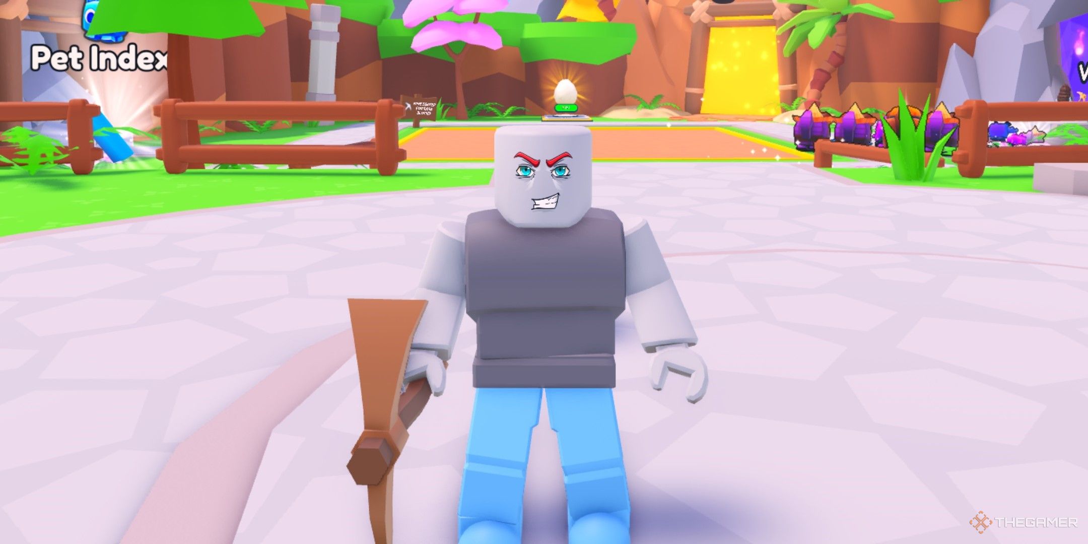 a player in Pet Mine on Roblox 