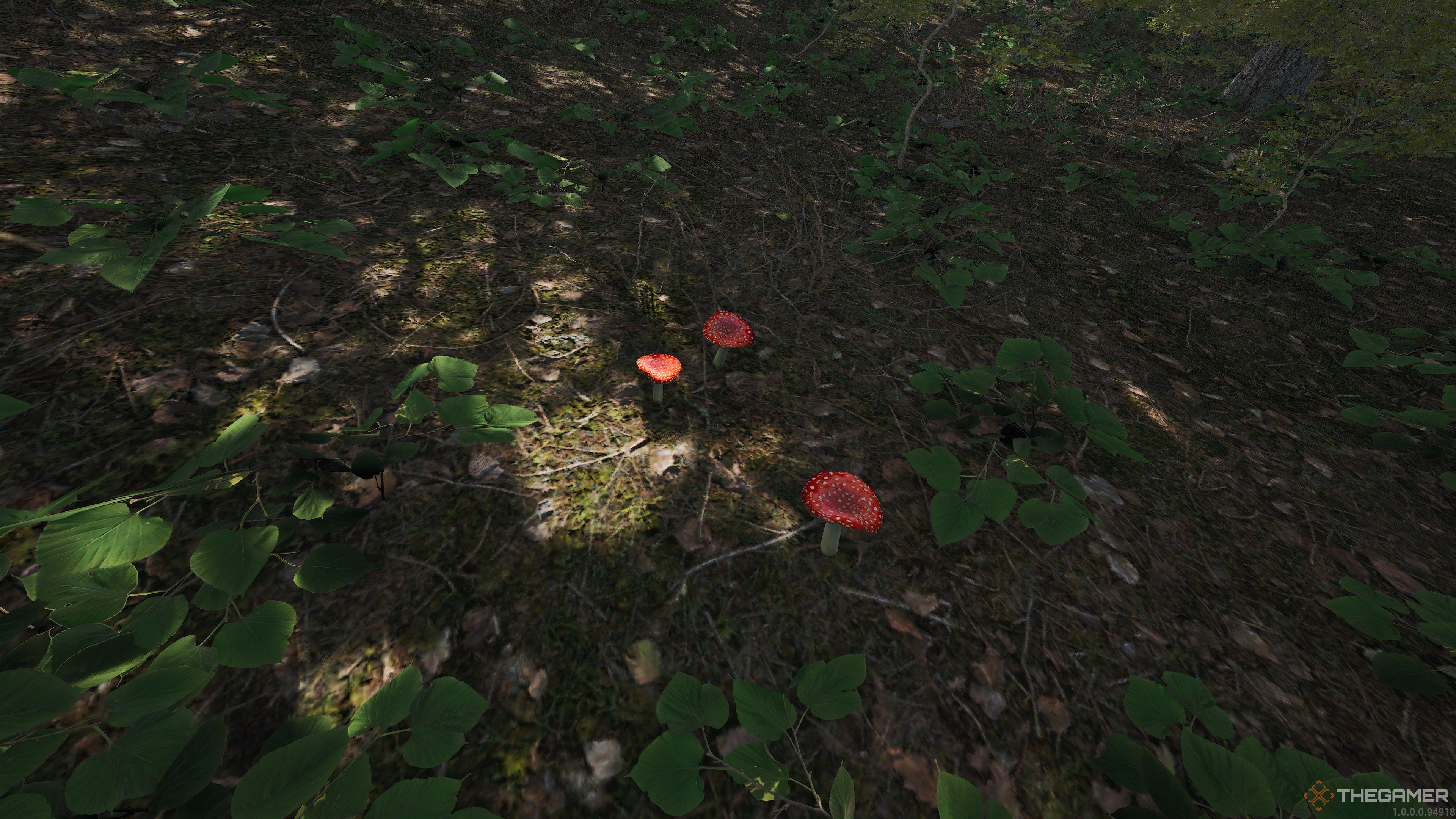 Three Amanita Muscaria mushrooms on the forest floor in SCUM.