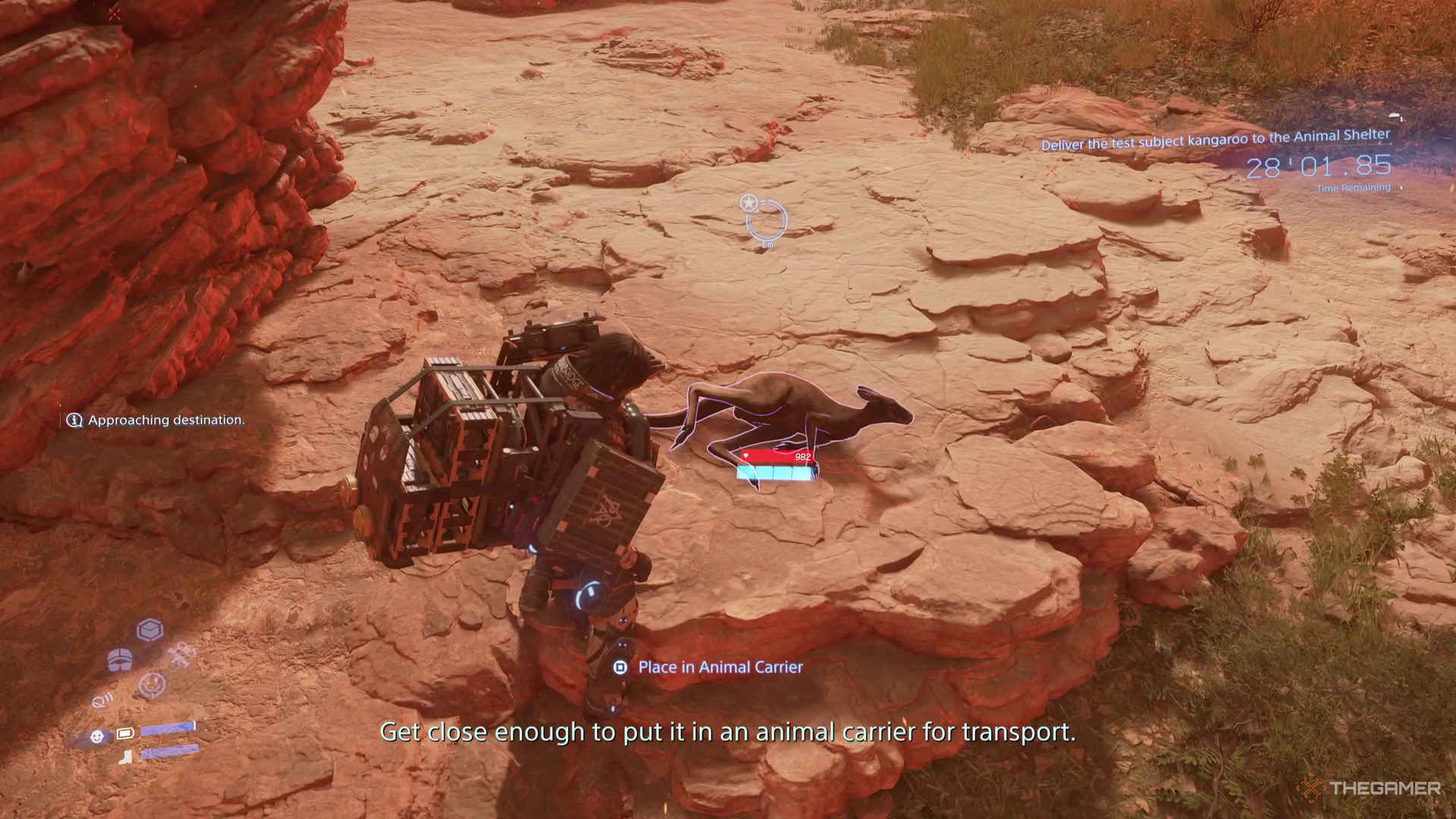 Sam prepares to pick up a wild kangaroo in Death Stranding