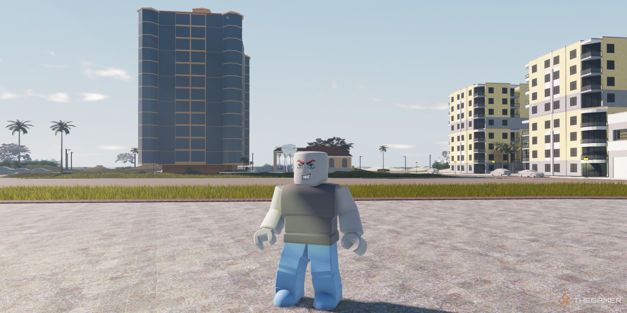 a player in west coast florida on Roblox